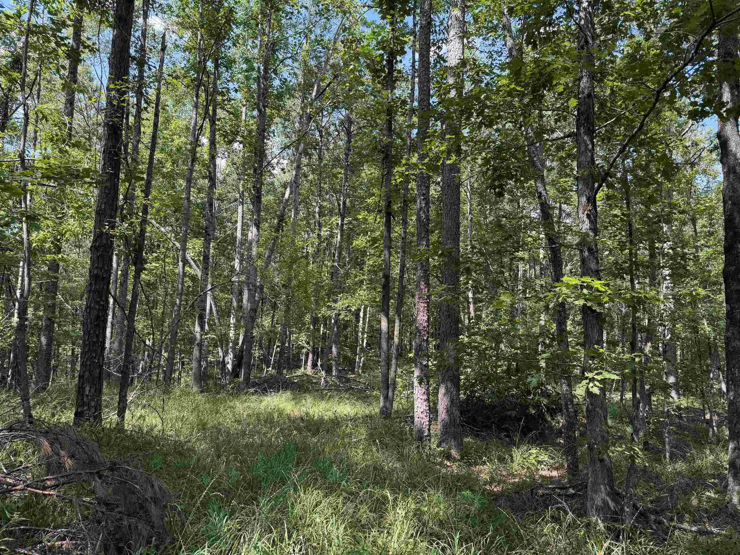 Photo 4 of Land for sale at 0 Megan Ln, Savannah, TN 38372 | MLS# 10230126 | Listing updated on 2026-09-10
