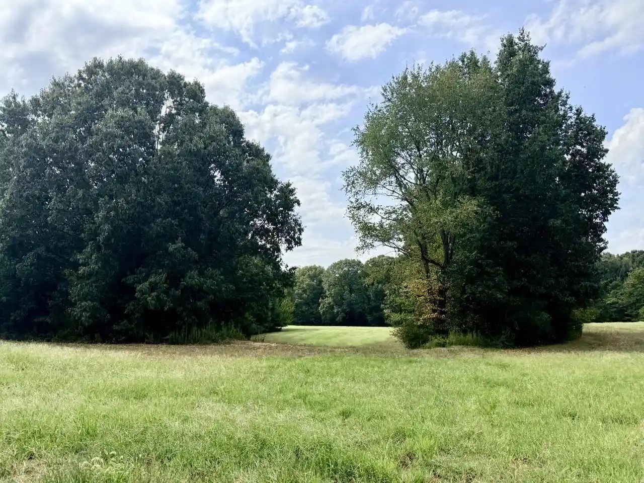 Photo 1 of Land for sale at 8 Antwine Rd, Gadsden, TN 38337 | MLS# 10230274 | Listing updated on 2026-09-14