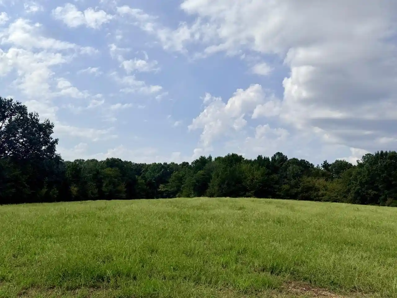 Photo 2 of Land for sale at 8 Antwine Rd, Gadsden, TN 38337 | MLS# 10230274 | Listing updated on 2026-09-14