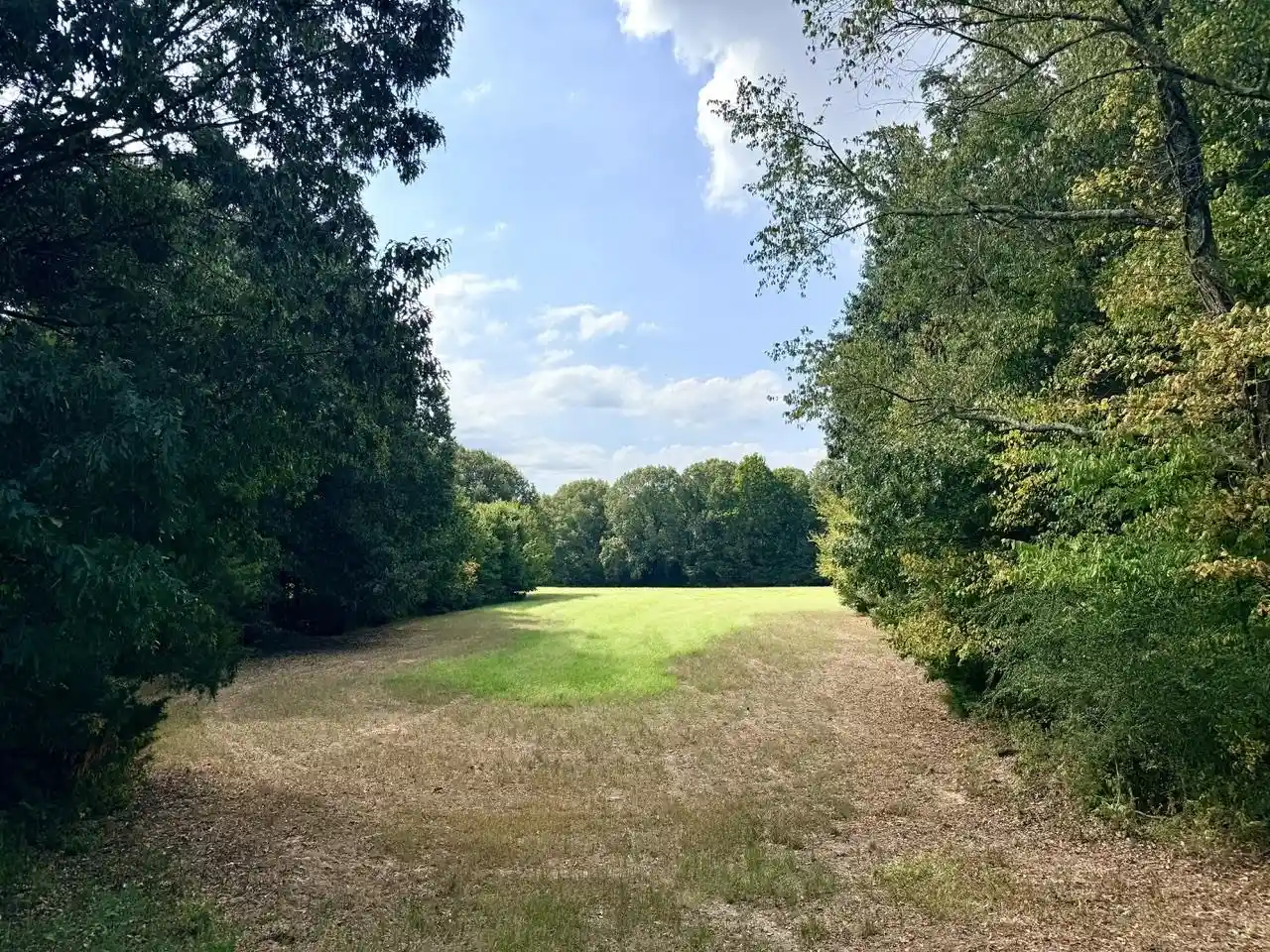 Photo 3 of Land for sale at 8 Antwine Rd, Gadsden, TN 38337 | MLS# 10230274 | Listing updated on 2026-09-14