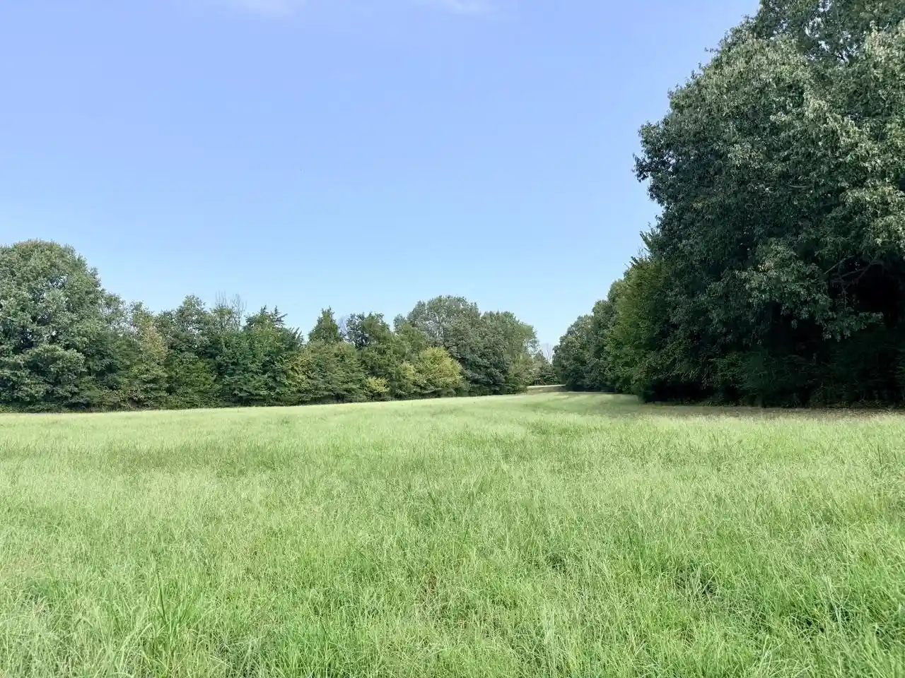 Photo 4 of Land for sale at 8 Antwine Rd, Gadsden, TN 38337 | MLS# 10230274 | Listing updated on 2026-09-14
