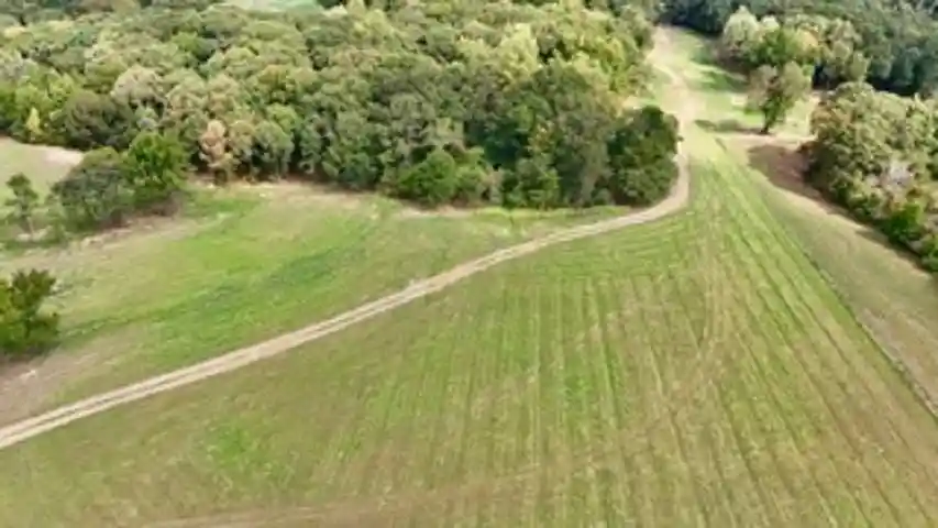 Photo 2 of Land for sale at 16 Antwine Rd, Gadsden, TN 38337 | MLS# 10230275 | Listing updated on 2026-09-14