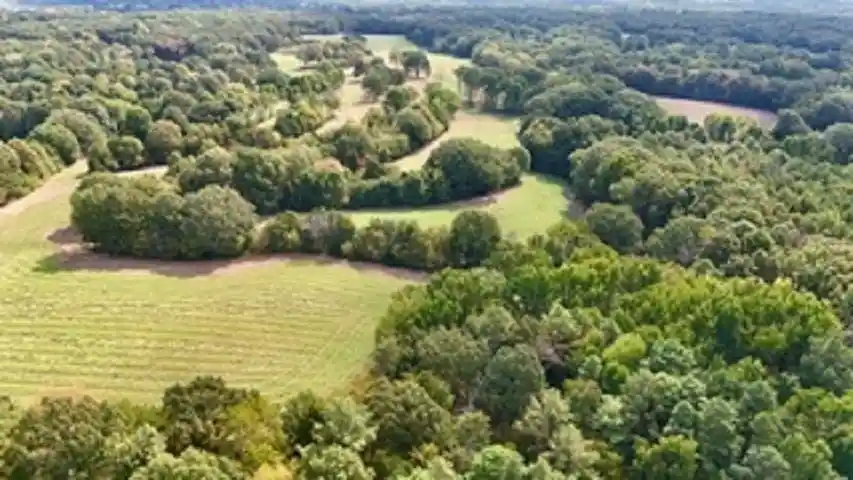 Photo 1 of Land for sale at 6 Antwine Rd, Gadsden, TN 38337 | MLS# 10230278 | Listing updated on 2026-09-14