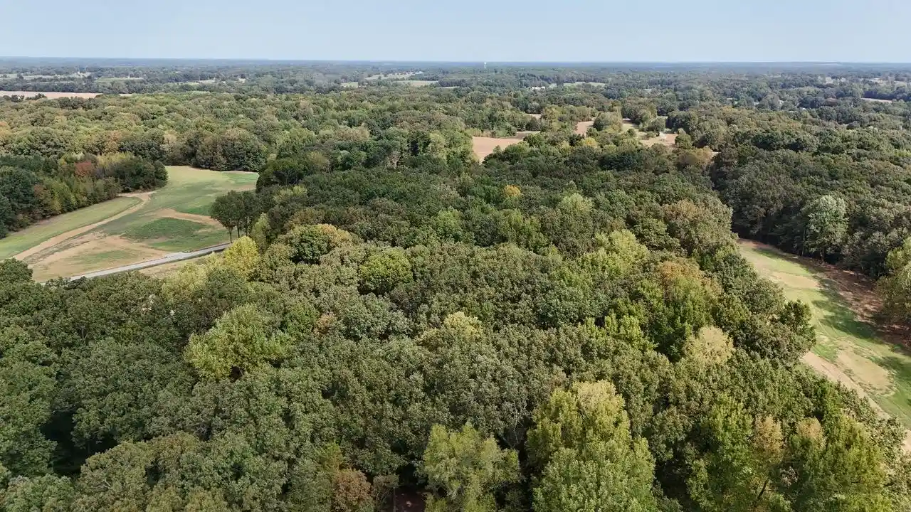 Photo 1 of Land for sale at 10 Antwine Rd, Gadsden, TN 38337 | MLS# 10230279 | Listing updated on 2026-09-14