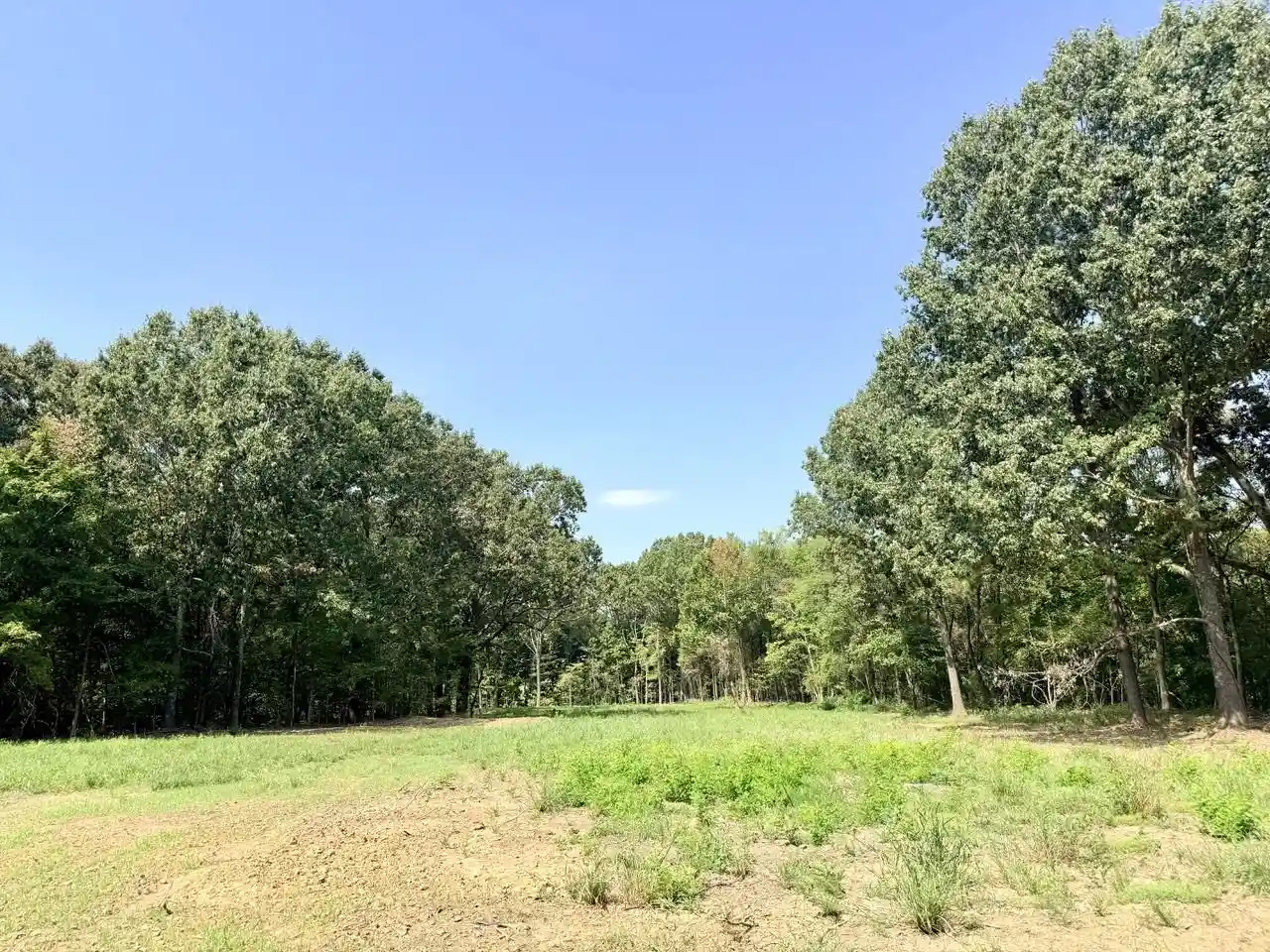 Photo 1 of Land for sale at 10 Antwine Rd, Gadsden, TN 38337 | MLS# 10230279 | Listing updated on 2026-09-14