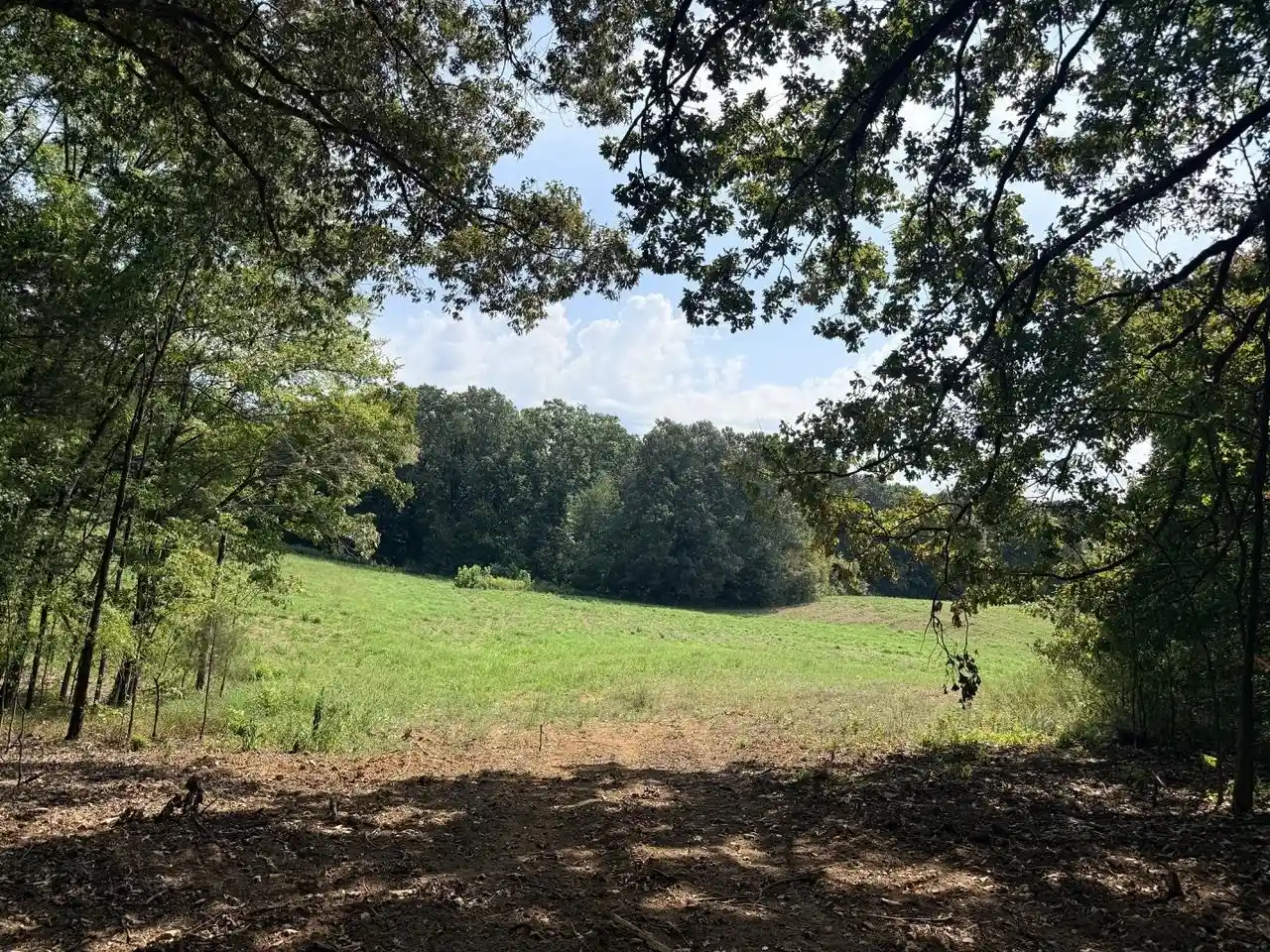 Photo 3 of Land for sale at 10 Antwine Rd, Gadsden, TN 38337 | MLS# 10230279 | Listing updated on 2026-09-14