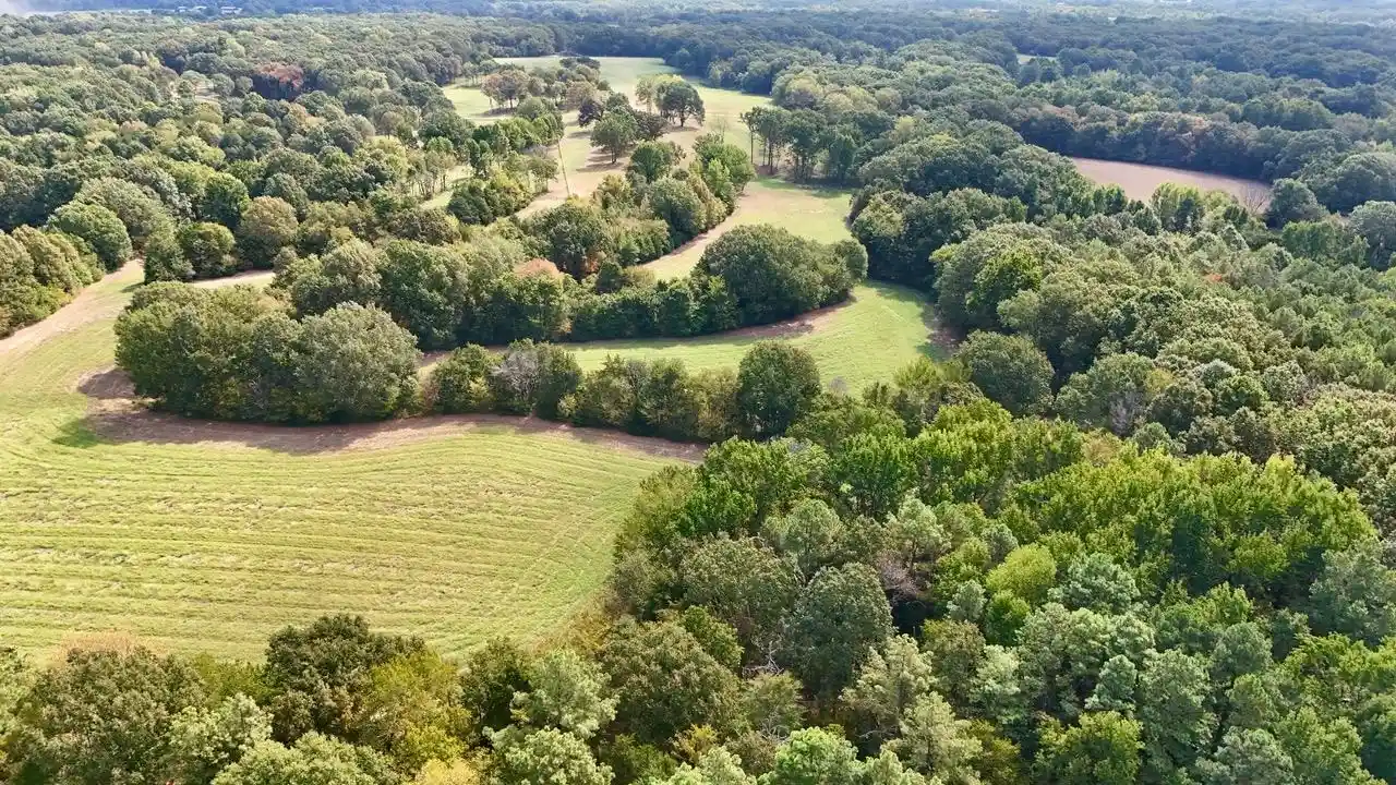 Photo 1 of Land for sale at 11 Antwine Rd, Gadsden, TN 38337 | MLS# 10230282 | Listing updated on 2026-09-14