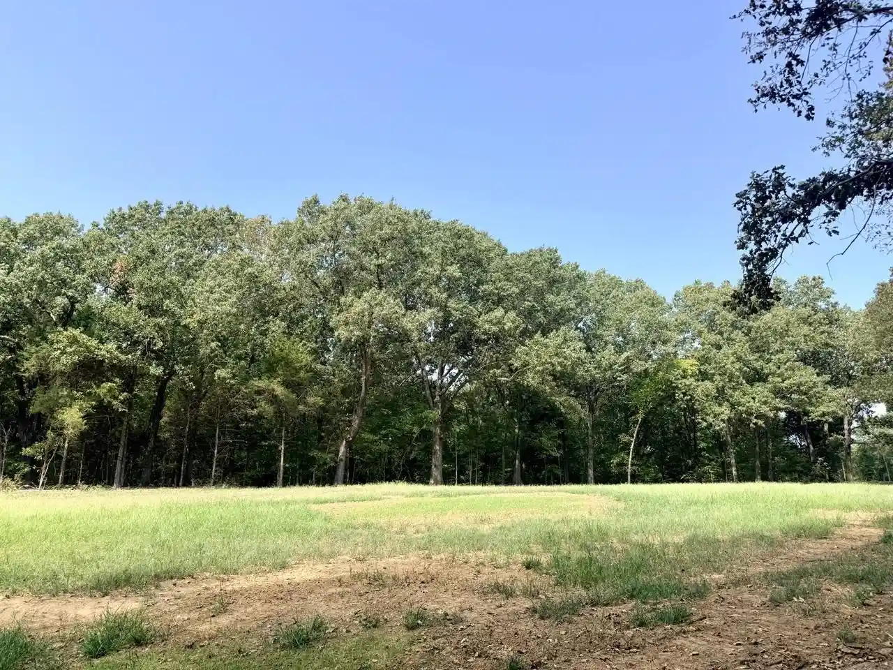 Photo 1 of Land for sale at 11 Antwine Rd, Gadsden, TN 38337 | MLS# 10230282 | Listing updated on 2026-09-14