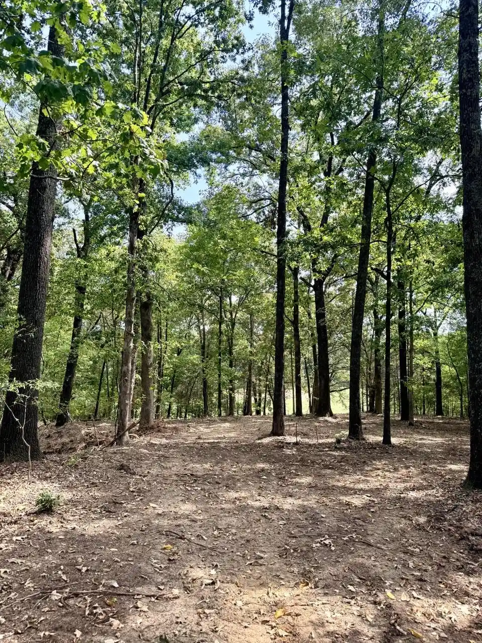 Photo 2 of Land for sale at 11 Antwine Rd, Gadsden, TN 38337 | MLS# 10230282 | Listing updated on 2026-09-14