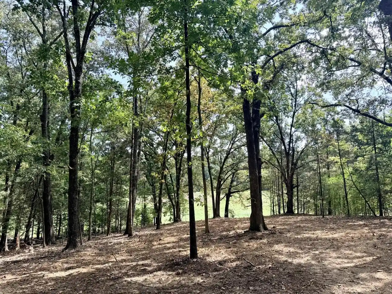 Photo 3 of Land for sale at 11 Antwine Rd, Gadsden, TN 38337 | MLS# 10230282 | Listing updated on 2026-09-14