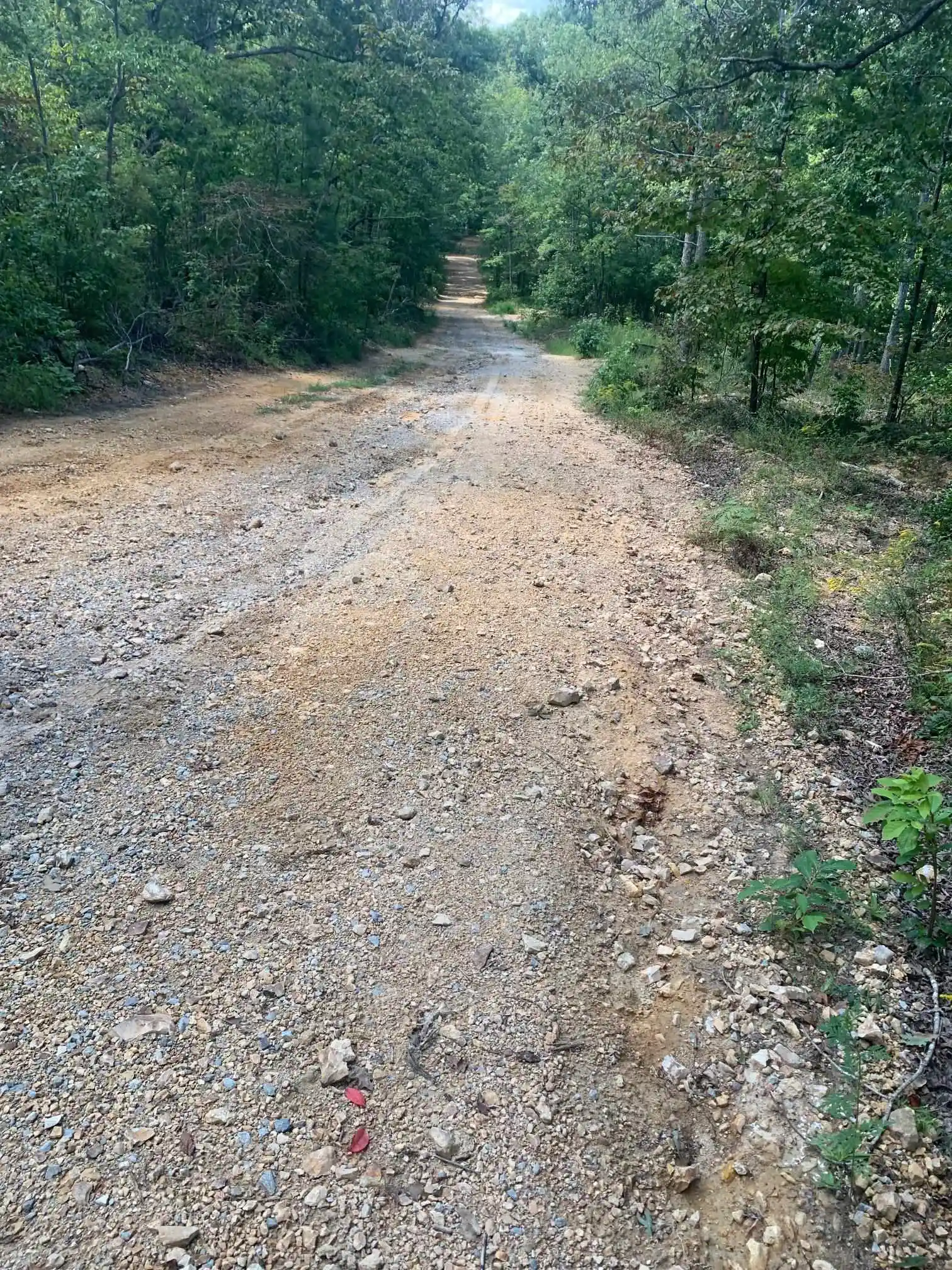 Photo 1 of Land for sale at 00 Wild Acres Rd, Holladay, TN 38341 | MLS# 10230284 | Listing updated on 2026-09-11