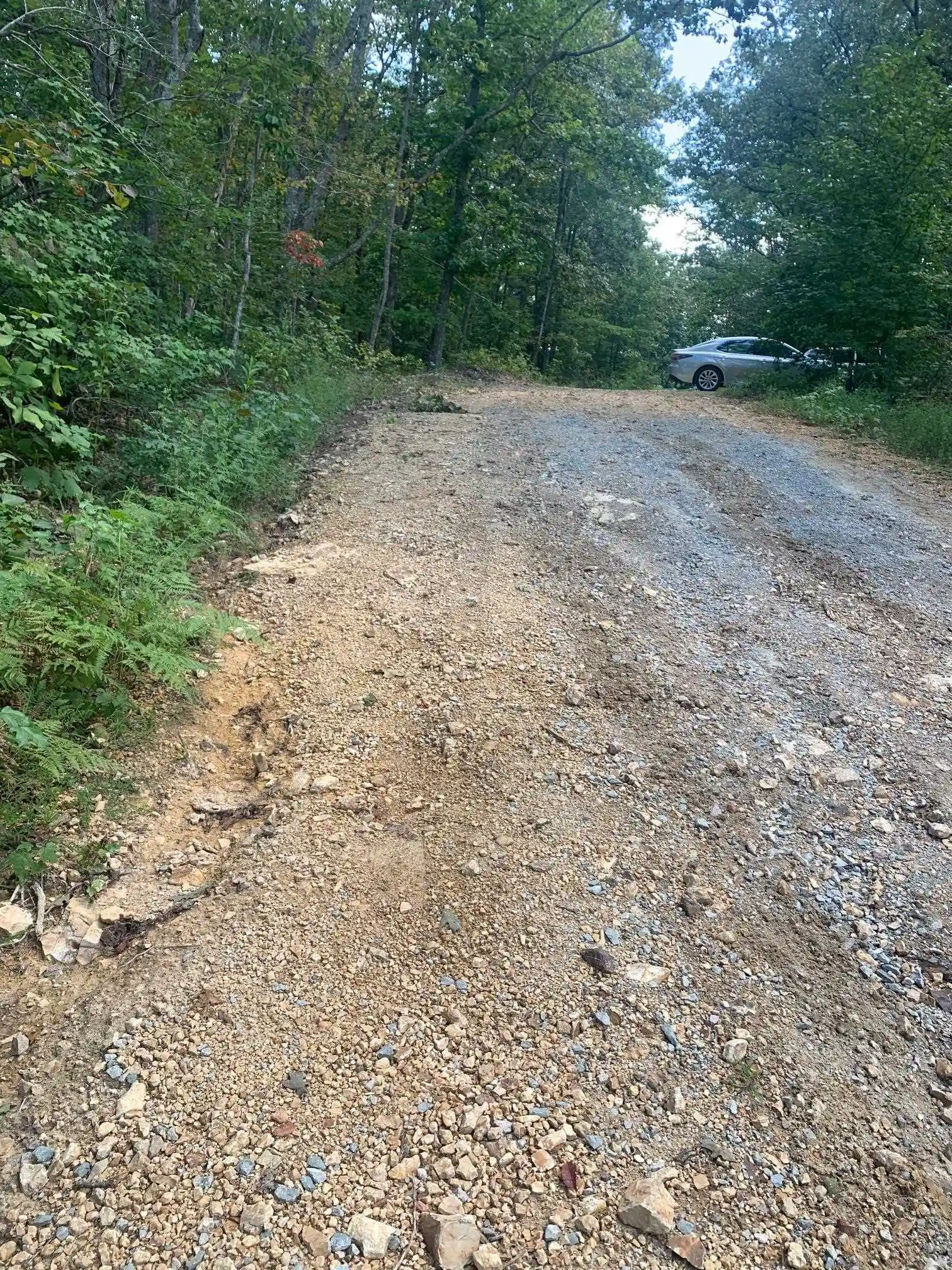 Photo 3 of Land for sale at 00 Wild Acres Rd, Holladay, TN 38341 | MLS# 10230284 | Listing updated on 2026-09-11