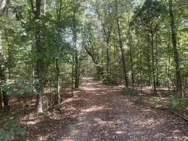 Photo 1 of Land for sale at 00 Hannis Rd, Bolivar, TN 38008 | MLS# 10230297 | Listing updated on 2026-09-11