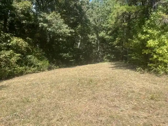 Photo 2 of Land for sale at 00 Hannis Rd, Bolivar, TN 38008 | MLS# 10230297 | Listing updated on 2026-09-11