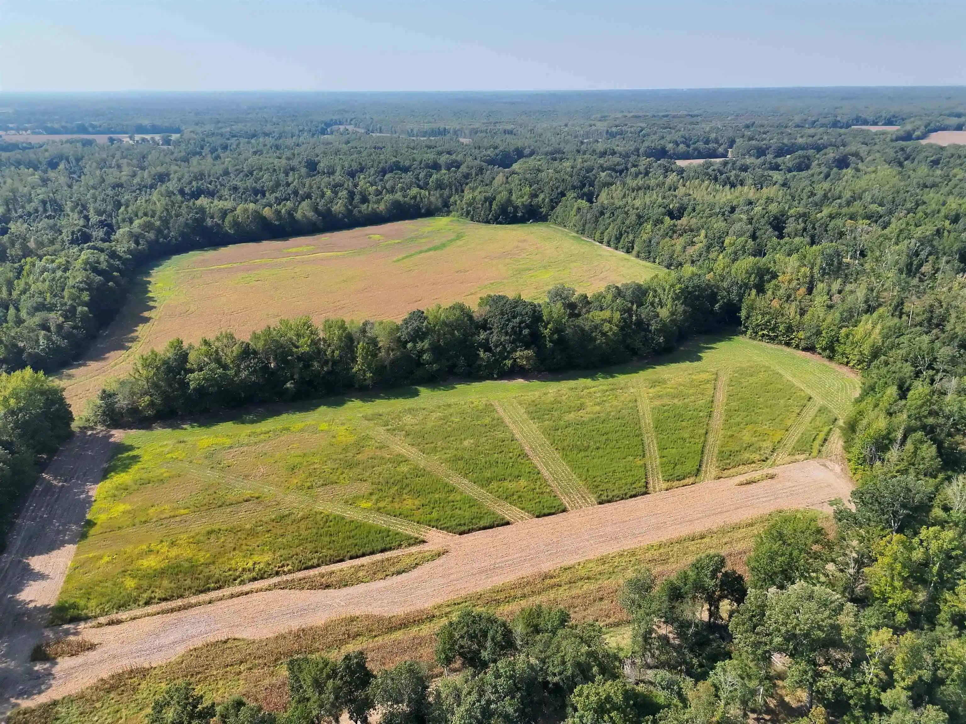 Photo 1 of Land for sale at 00 Estonallie Rd, Mercer, TN 38392 | MLS# 10230300 | Listing updated on 2026-09-11