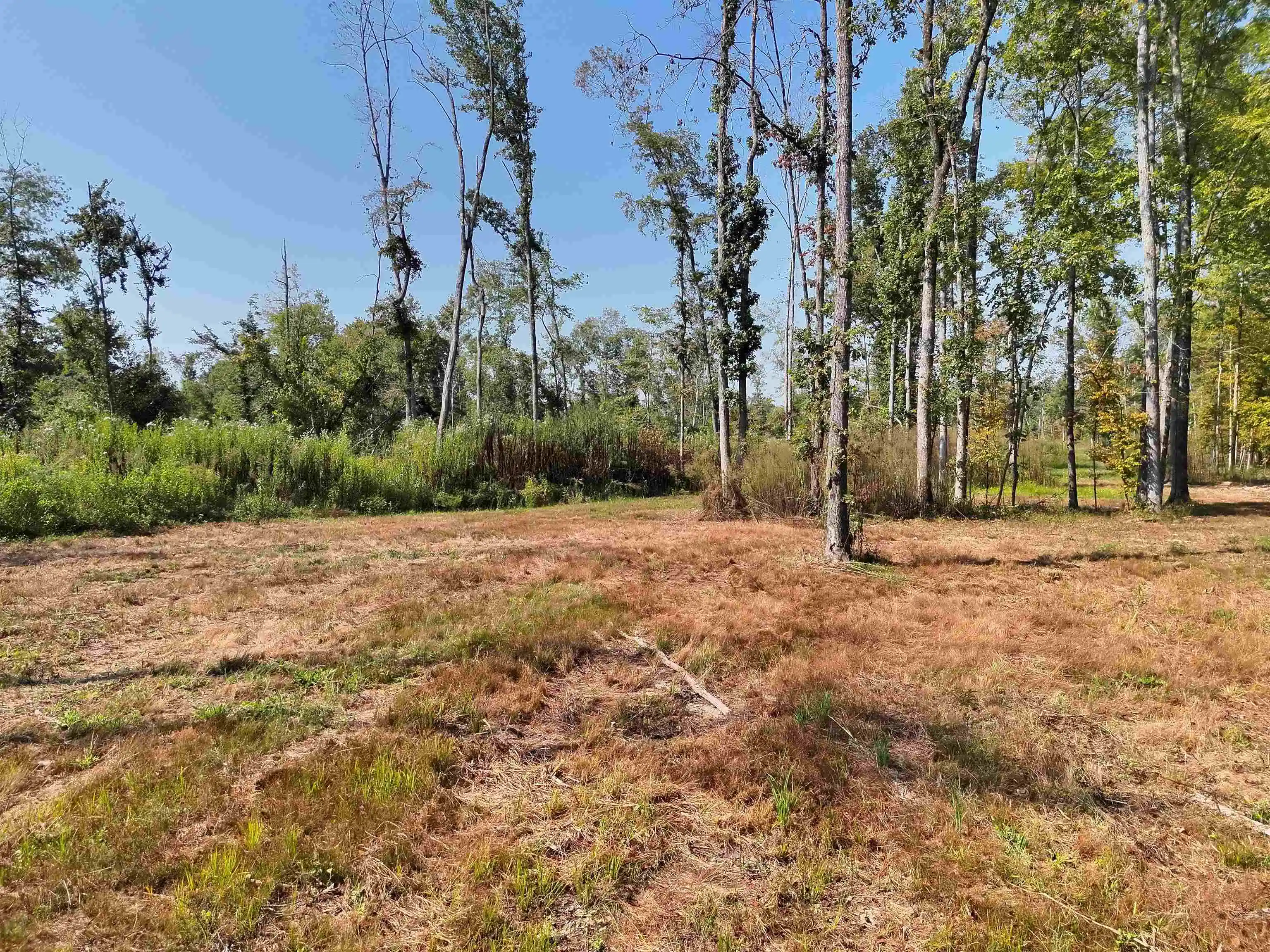 Photo 2 of Land for sale at 00 Estonallie Rd, Mercer, TN 38392 | MLS# 10230300 | Listing updated on 2026-09-11