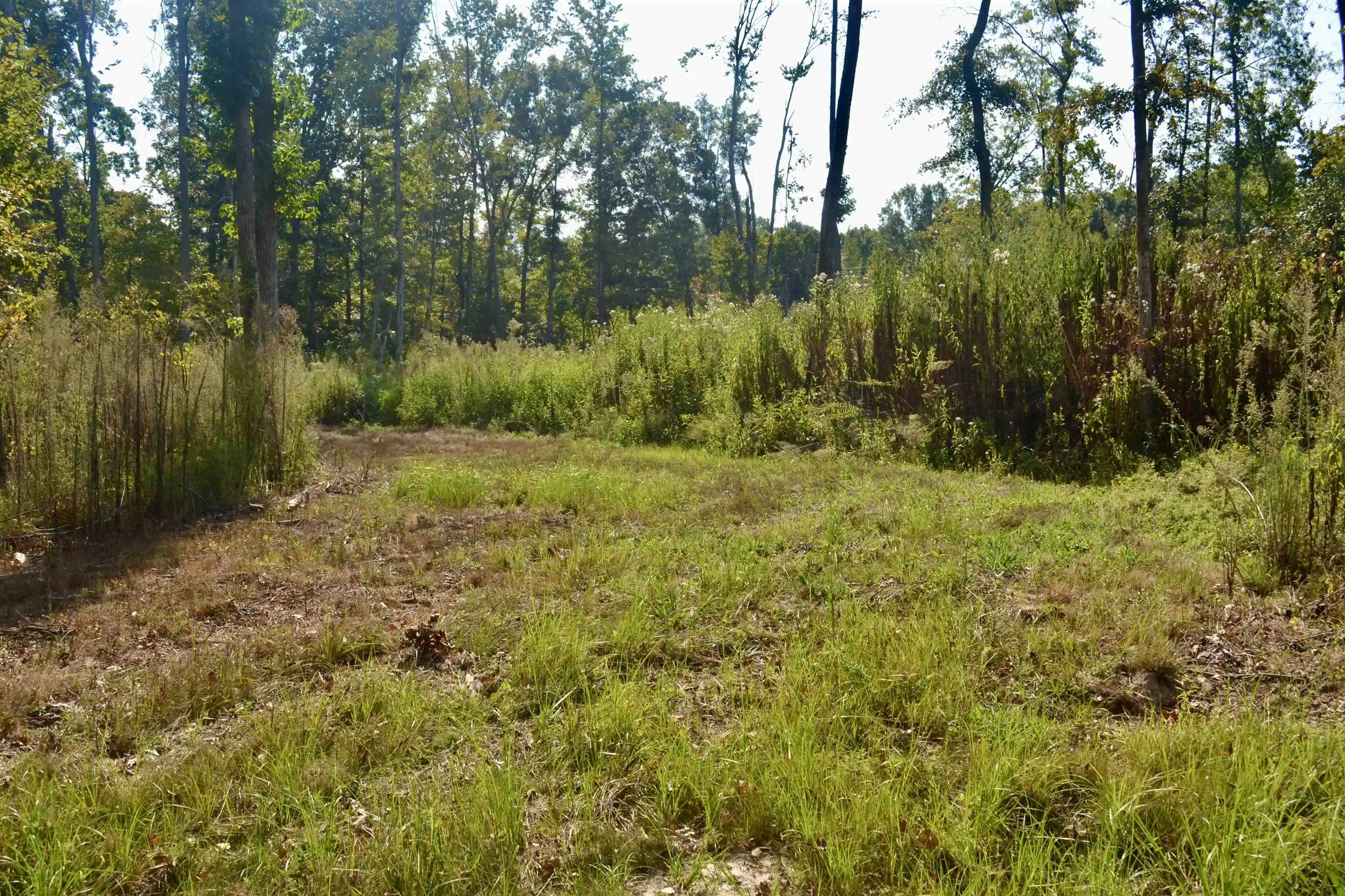 Photo 3 of Land for sale at 00 Estonallie Rd, Mercer, TN 38392 | MLS# 10230300 | Listing updated on 2026-09-11