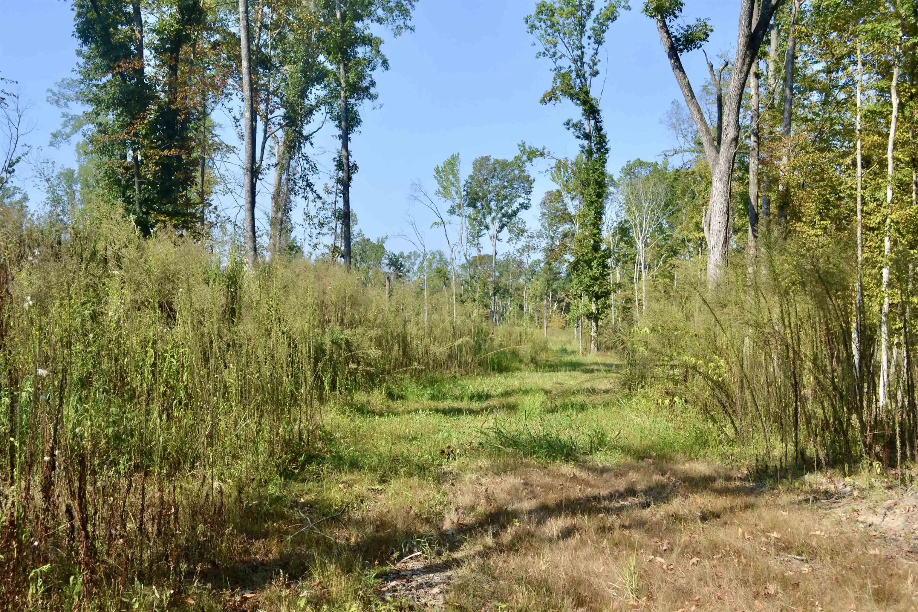 Photo 3 of Land for sale at 00 Estonallie Rd, Mercer, TN 38392 | MLS# 10230300 | Listing updated on 2026-09-11