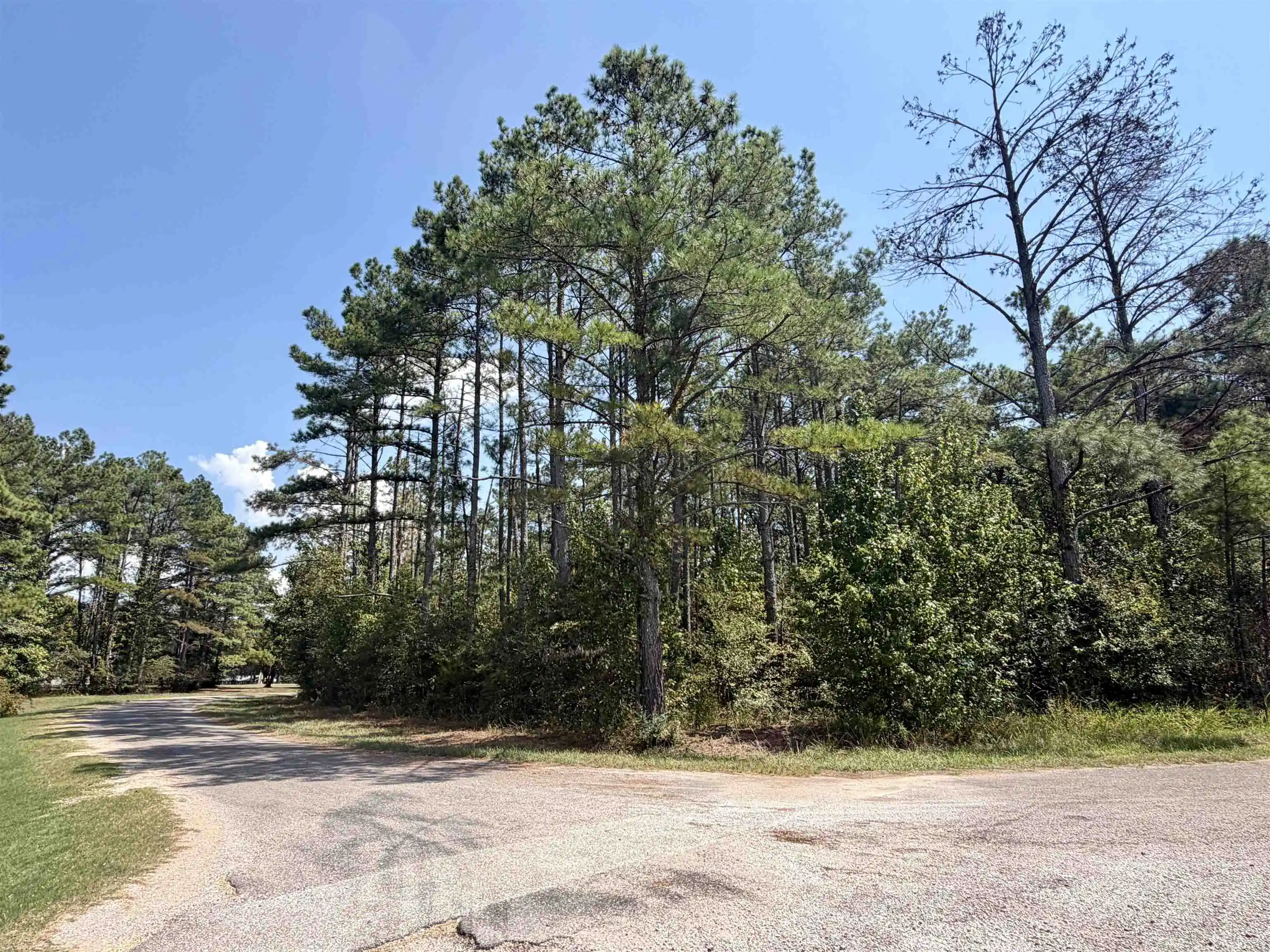 Photo 1 of Land for sale at 0 O Sage Dr, Adamsville, TN 38310 | MLS# 10230311 | Listing updated on 2026-09-30