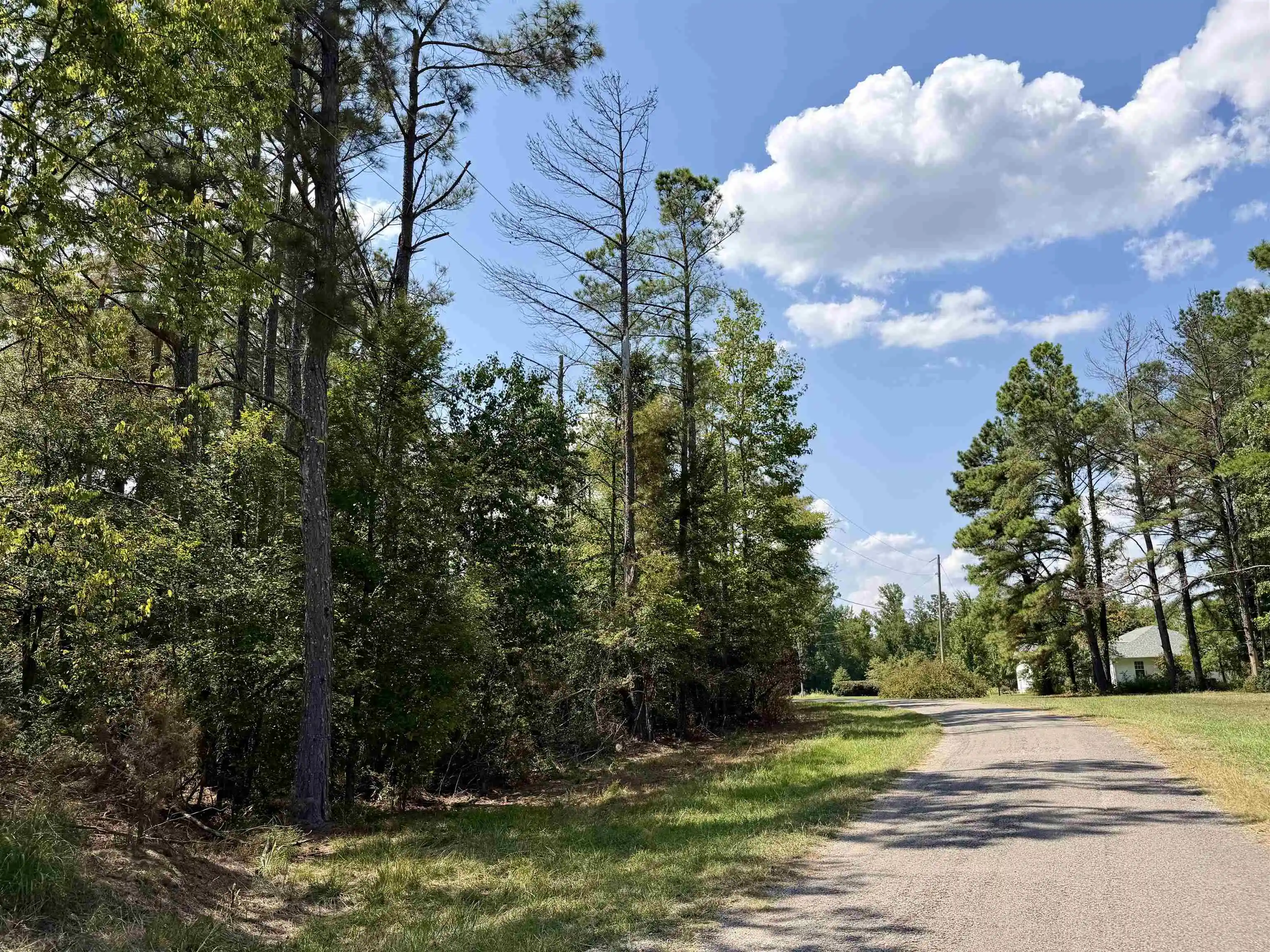 Photo 2 of Land for sale at 0 O Sage Dr, Adamsville, TN 38310 | MLS# 10230311 | Listing updated on 2026-09-30