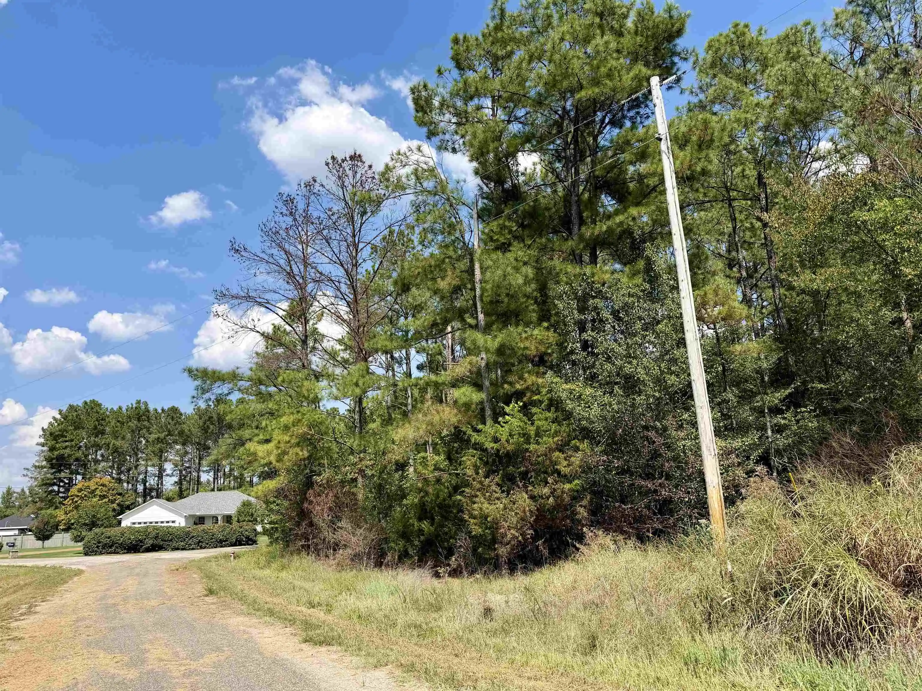 Photo 3 of Land for sale at 0 O Sage Dr, Adamsville, TN 38310 | MLS# 10230311 | Listing updated on 2026-09-30
