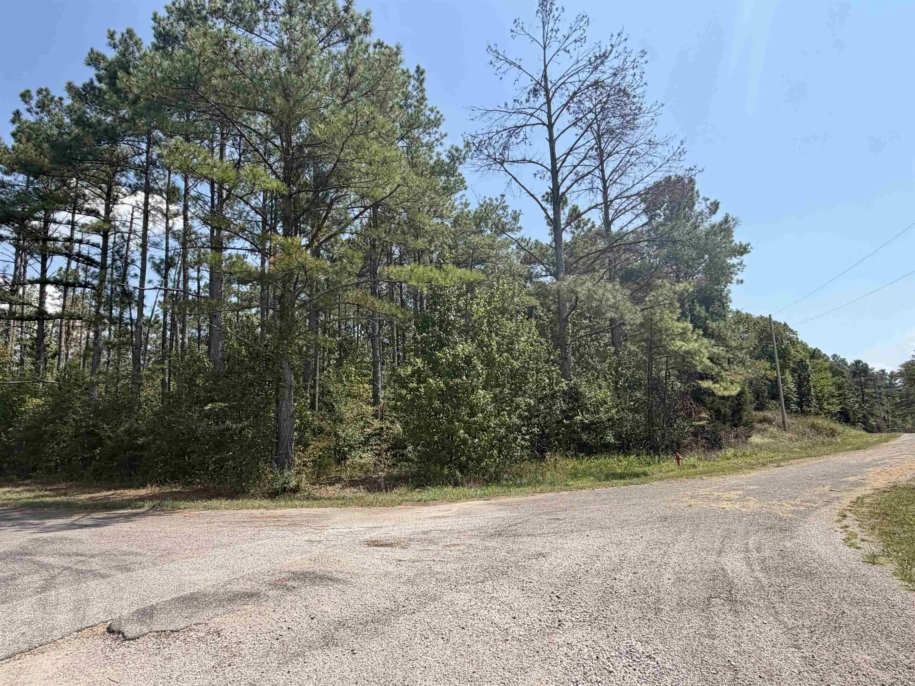 Photo 4 of Land for sale at 0 O Sage Dr, Adamsville, TN 38310 | MLS# 10230311 | Listing updated on 2026-09-30