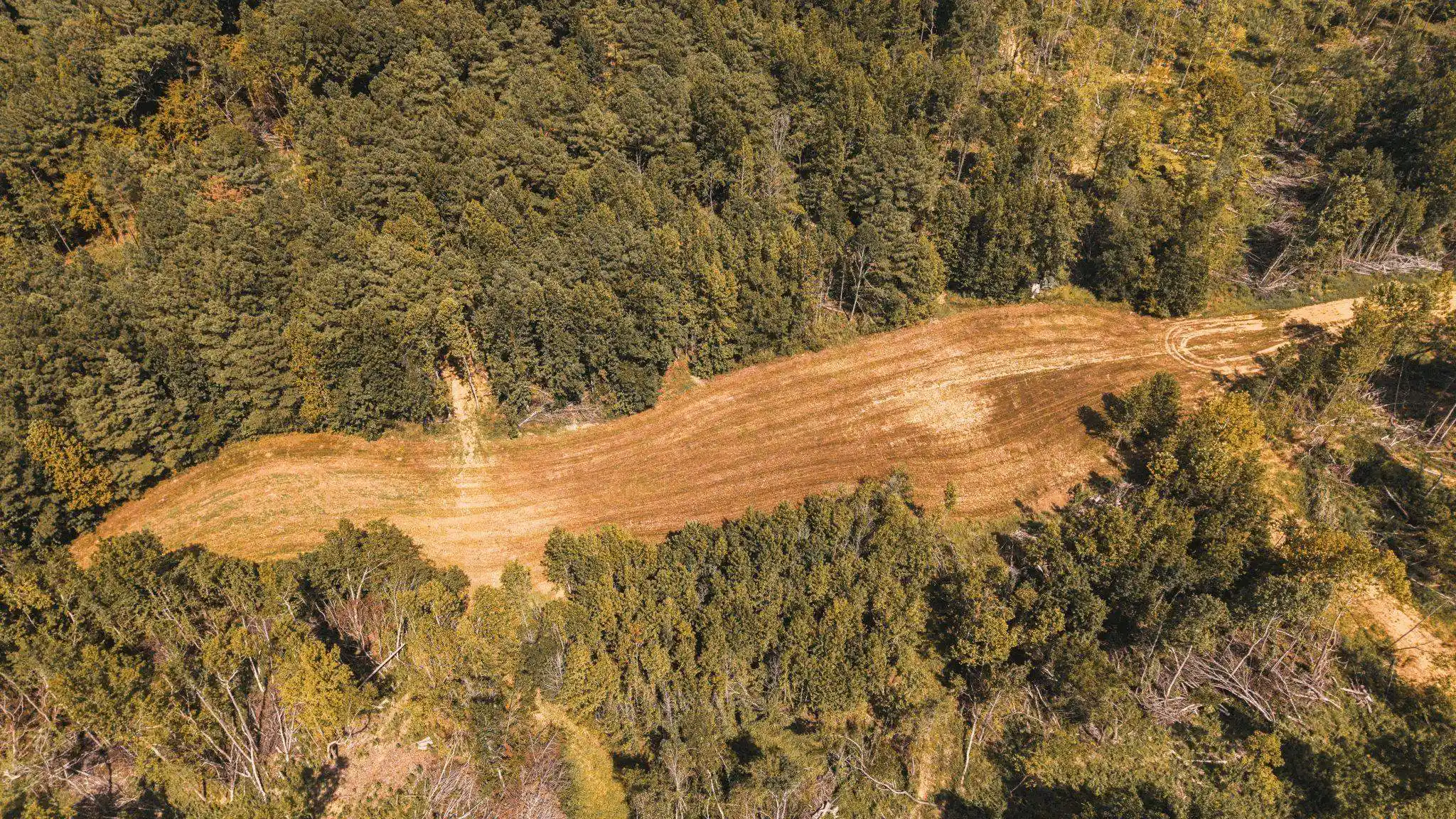 Land for sale at 5955 Cloverport Rd, Toone, TN 38381 | MLS# 10230336