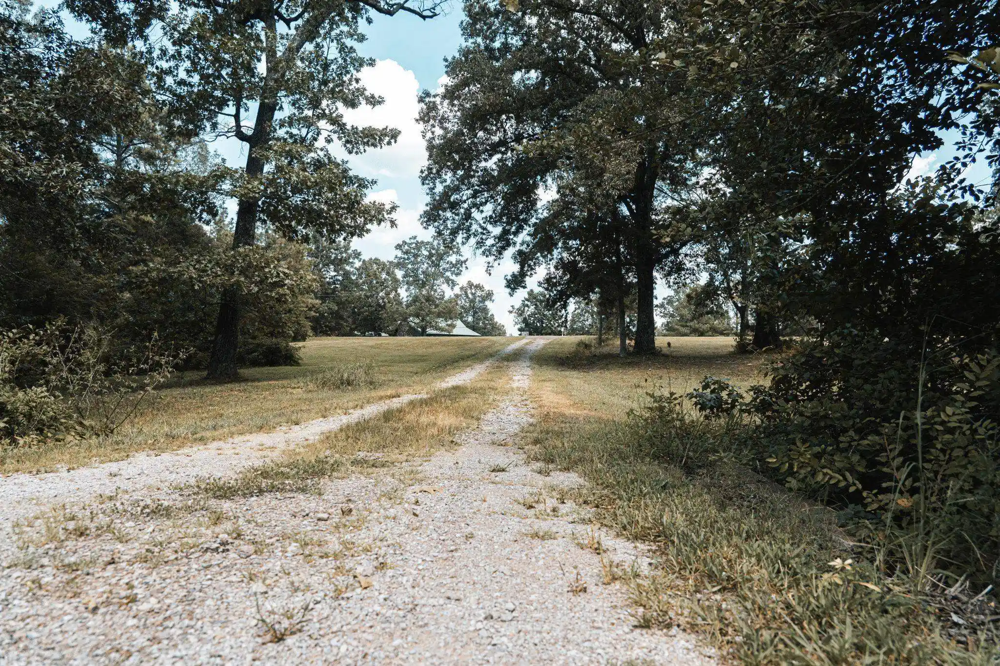 Photo 3 of Land for sale at 5955 Cloverport Rd, Toone, TN 38381 | MLS# 10230336 | Listing updated on 2026-09-12
