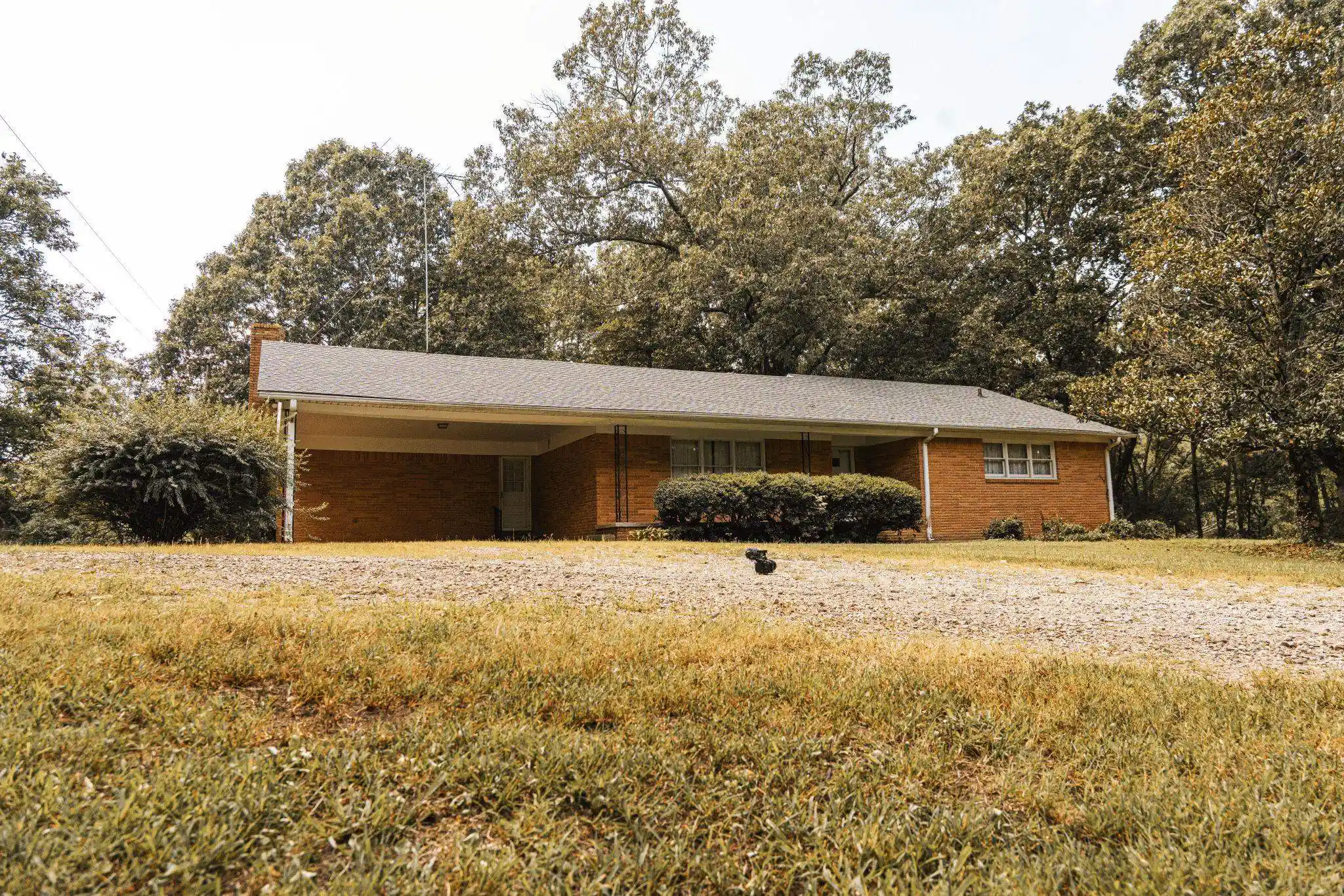 Photo 3 of Land for sale at 5955 Cloverport Rd, Toone, TN 38381 | MLS# 10230336 | Listing updated on 2026-09-12