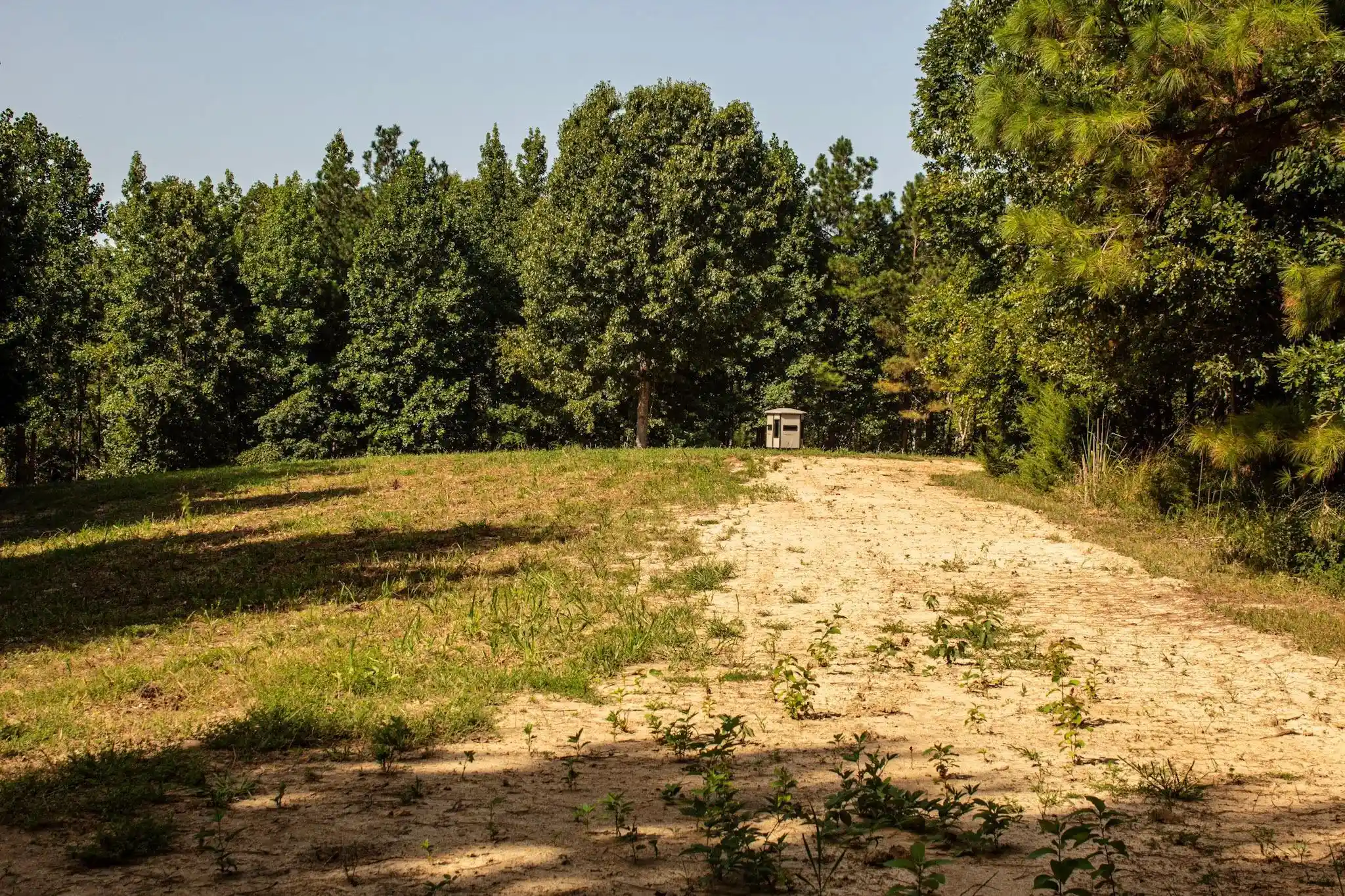 Photo 4 of Land for sale at 00 N Howell Rd, Hornsby, TN 38044 | MLS# 10230366 | Listing updated on 2026-09-13