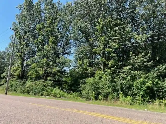 Photo 1 of Land for sale at 0 Canada Rd, Arlington, TN 38002 | MLS# 10230381 | Listing updated on 2026-09-15