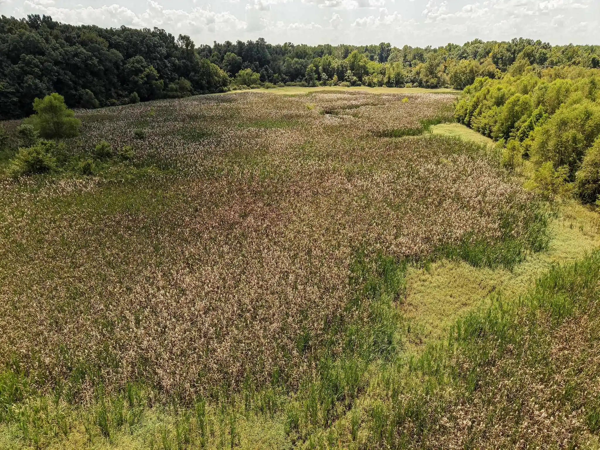 Photo 1 of Land for sale at 00 Galloway Levee Rd, Arlington, TN 38002 | MLS# 10230387 | Listing updated on 2026-09-14