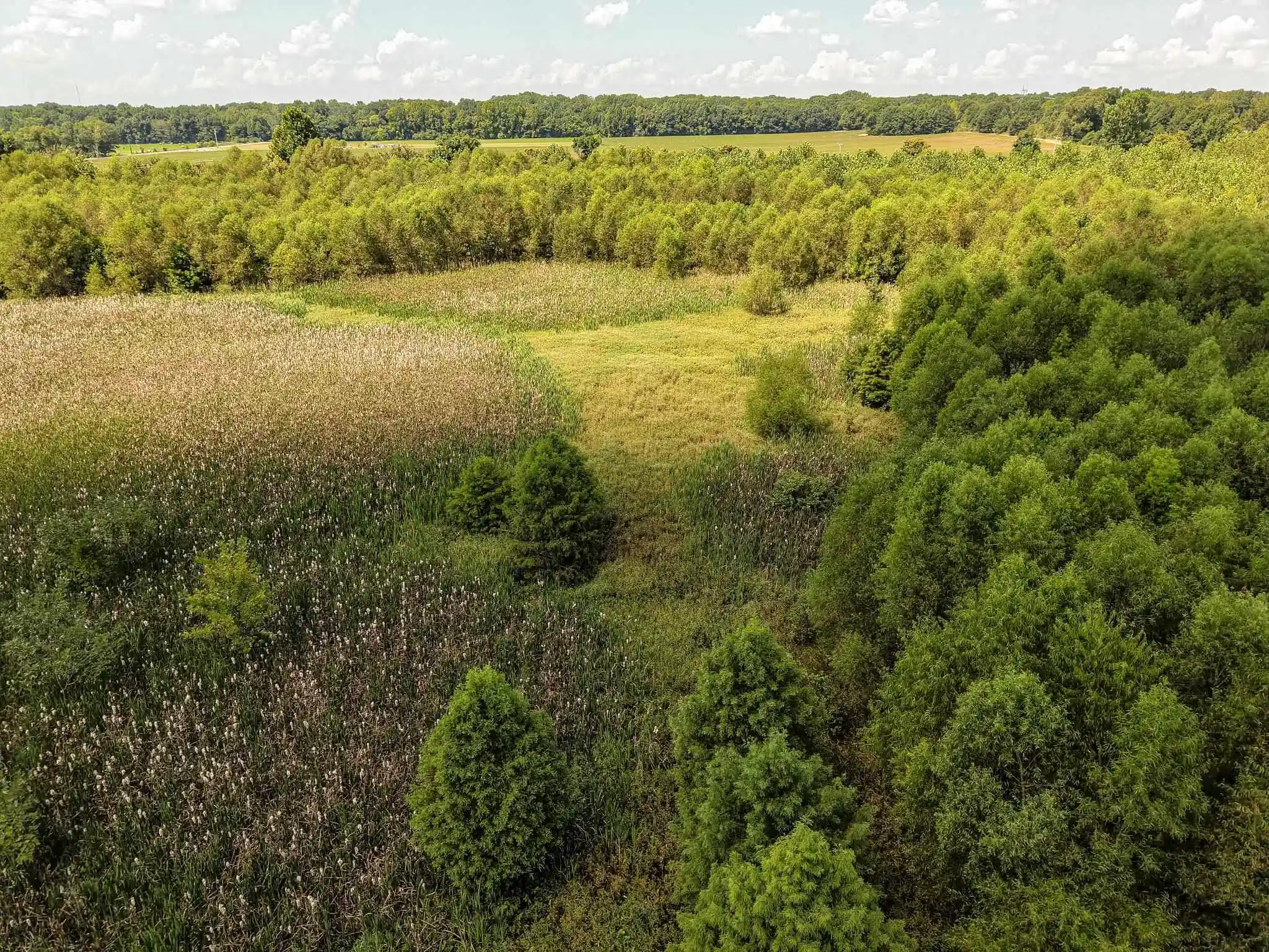 Photo 2 of Land for sale at 00 Galloway Levee Rd, Arlington, TN 38002 | MLS# 10230387 | Listing updated on 2026-09-14