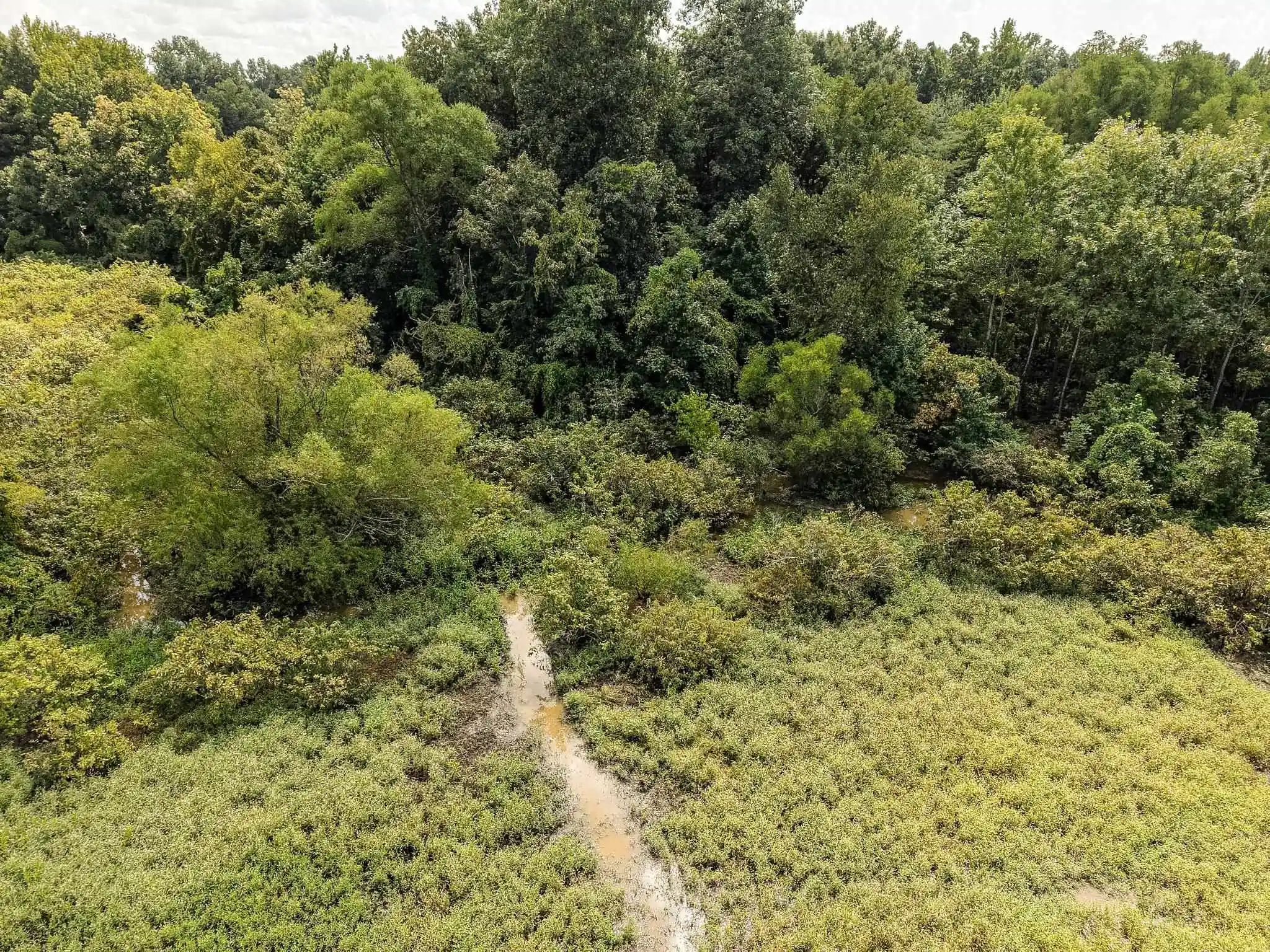 Photo 3 of Land for sale at 00 Galloway Levee Rd, Arlington, TN 38002 | MLS# 10230387 | Listing updated on 2026-09-14