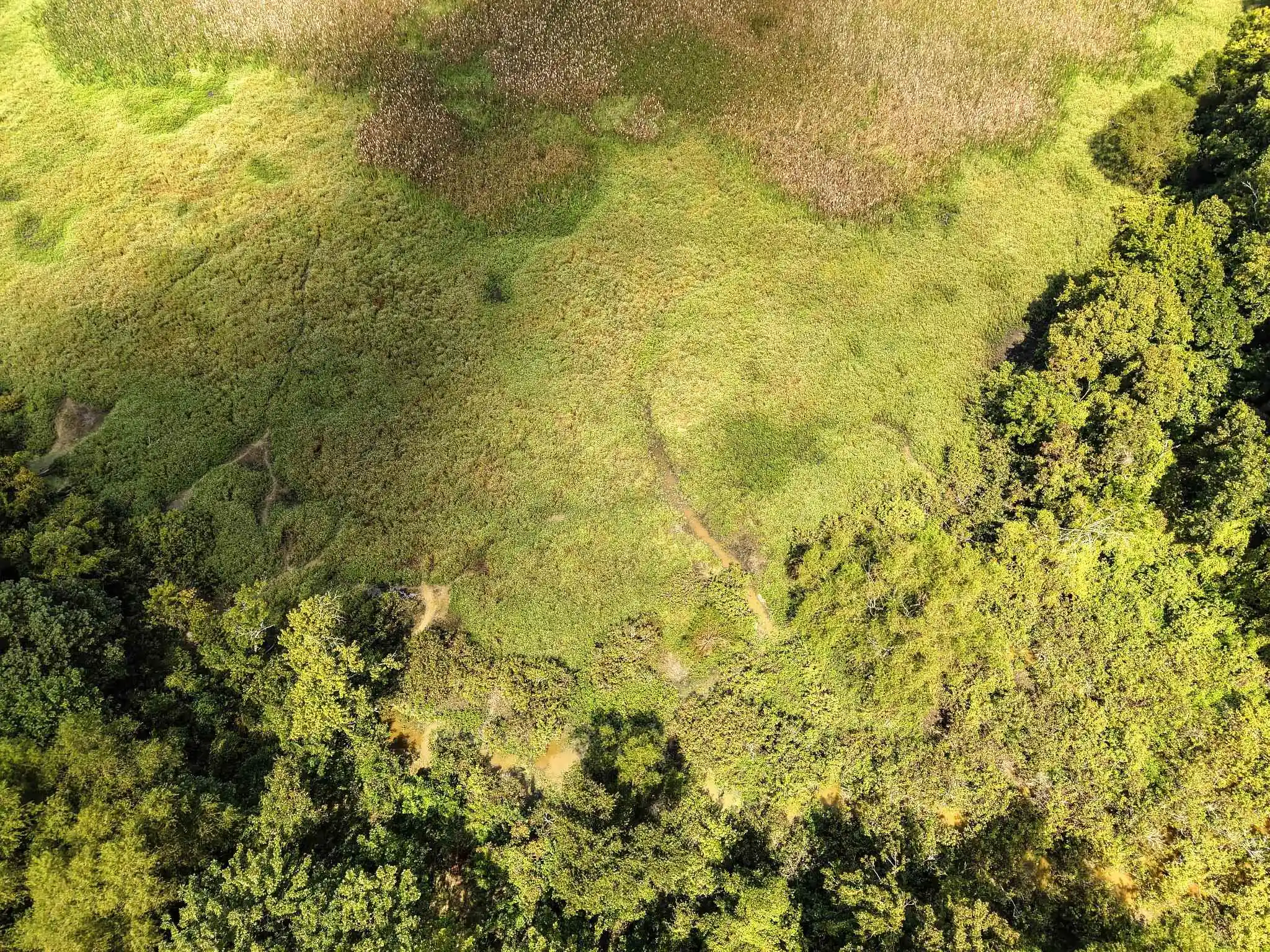 Photo 3 of Land for sale at 00 Galloway Levee Rd, Arlington, TN 38002 | MLS# 10230387 | Listing updated on 2026-09-14