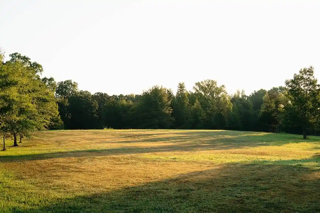 Photo 3 of Land for sale at 5245 Lake Hardeman Rd, Saulsbury, TN 38067 | MLS# 10230388 | Listing updated on 2026-09-14