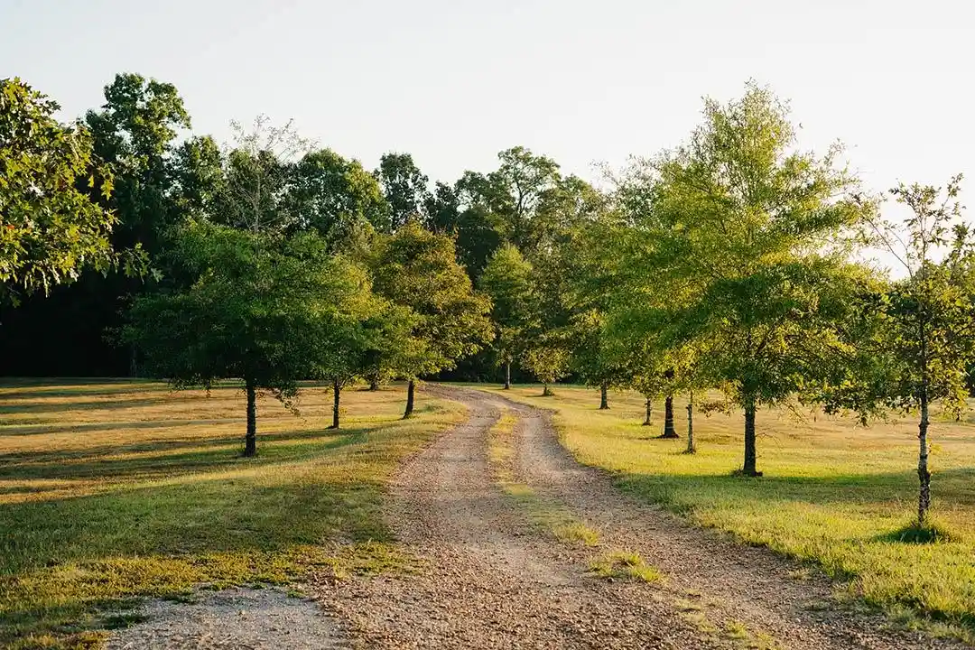 Photo 4 of Land for sale at 5245 Lake Hardeman Rd, Saulsbury, TN 38067 | MLS# 10230388 | Listing updated on 2026-09-14