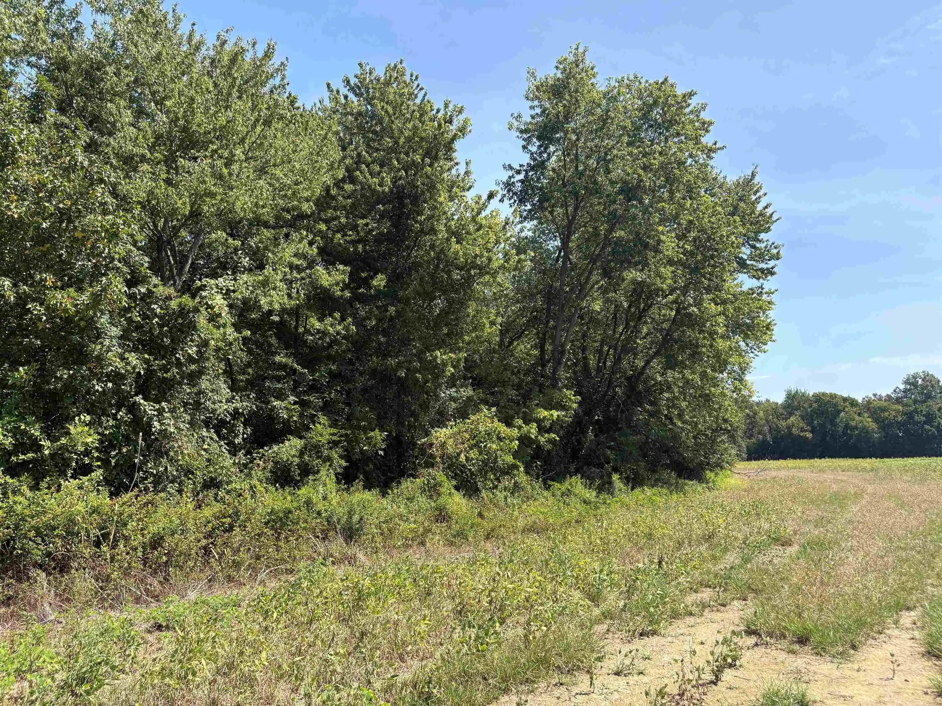 Photo 3 of Land for sale at 2901 Fite Rd, Millington, TN 38053 | MLS# 10230391 | Listing updated on 2026-09-14