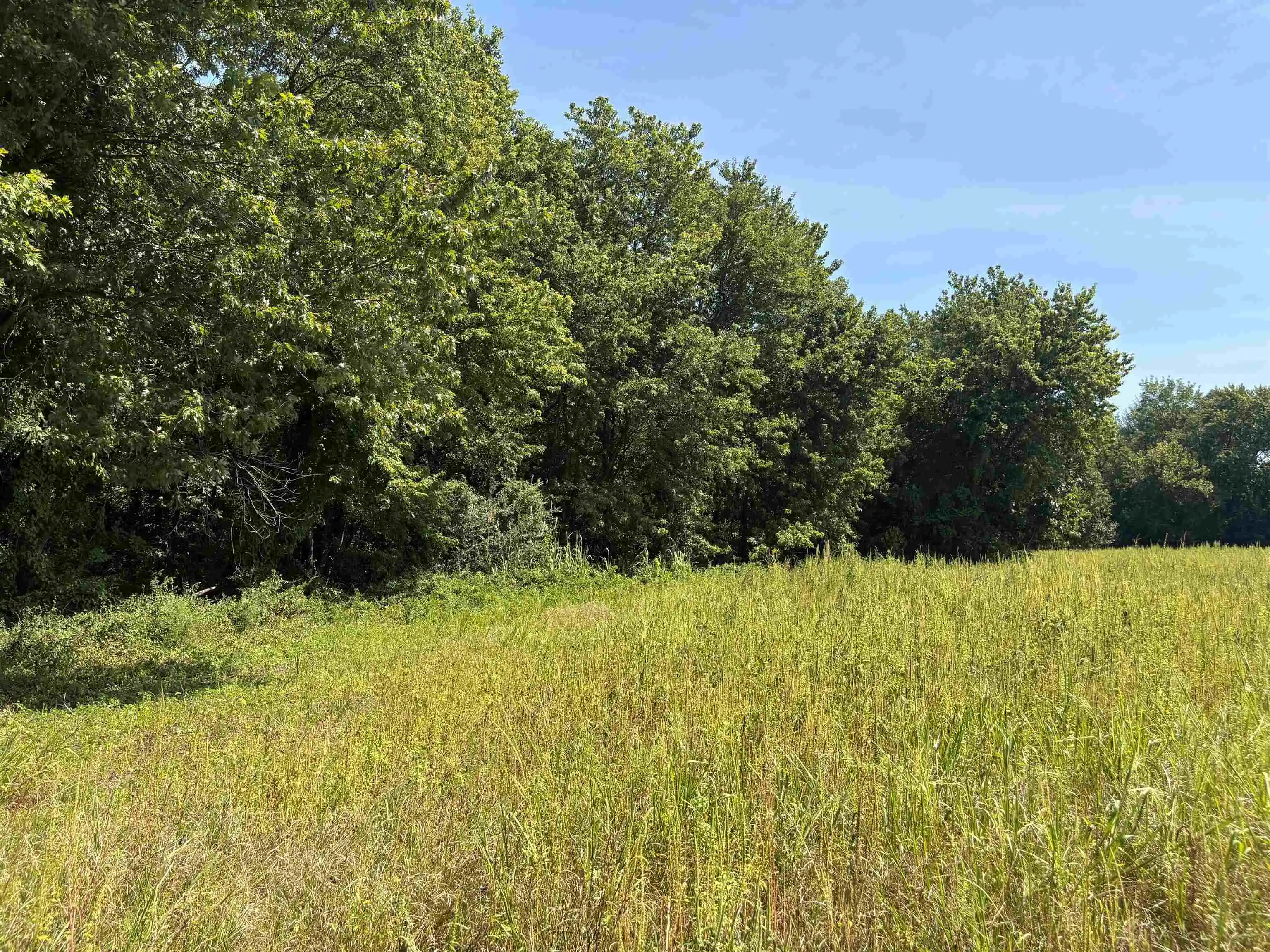 Photo 3 of Land for sale at 2901 Fite Rd, Millington, TN 38053 | MLS# 10230391 | Listing updated on 2026-09-14