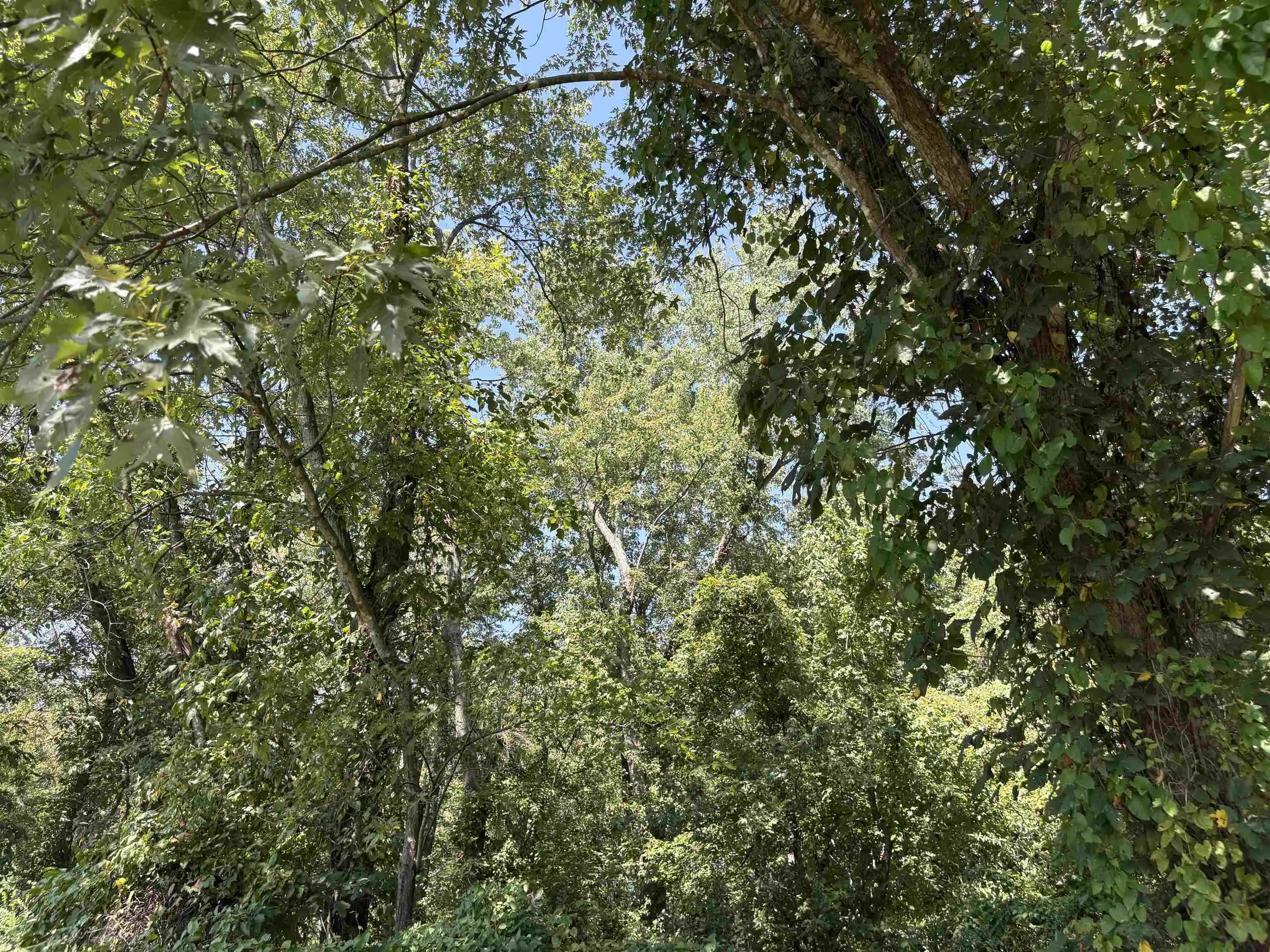Photo 4 of Land for sale at 2901 Fite Rd, Millington, TN 38053 | MLS# 10230391 | Listing updated on 2026-09-14