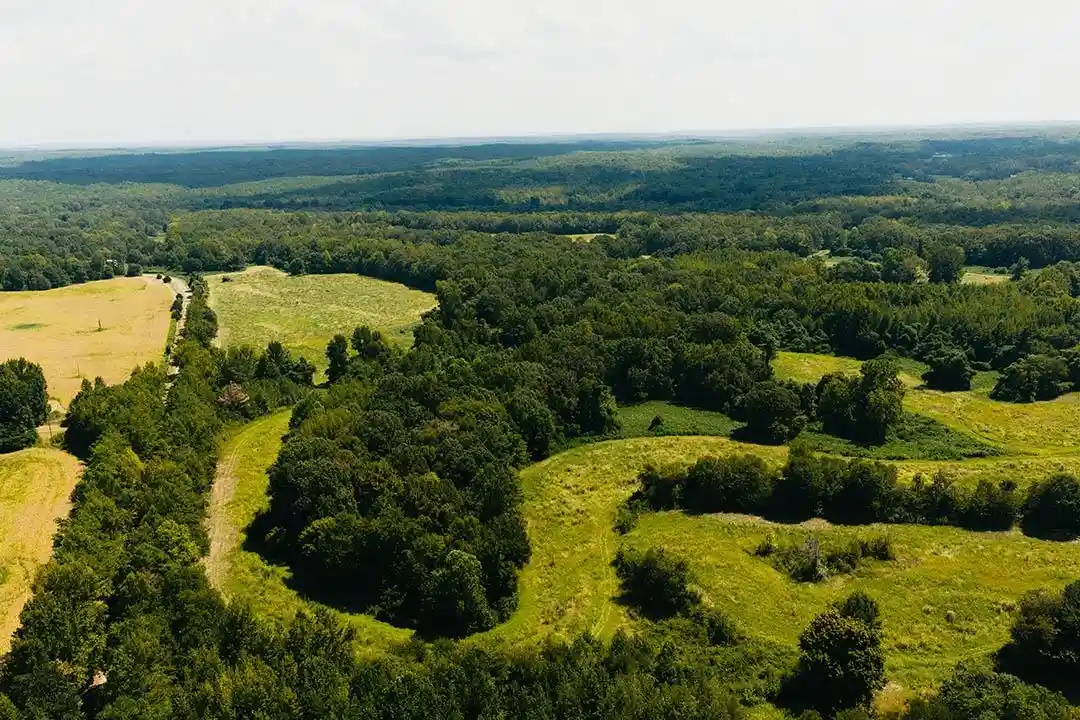 Photo 1 of Land for sale at 0 Rocky Springs Rd, Saulsbury, TN 38067 | MLS# 10230396 | Listing updated on 2026-09-14