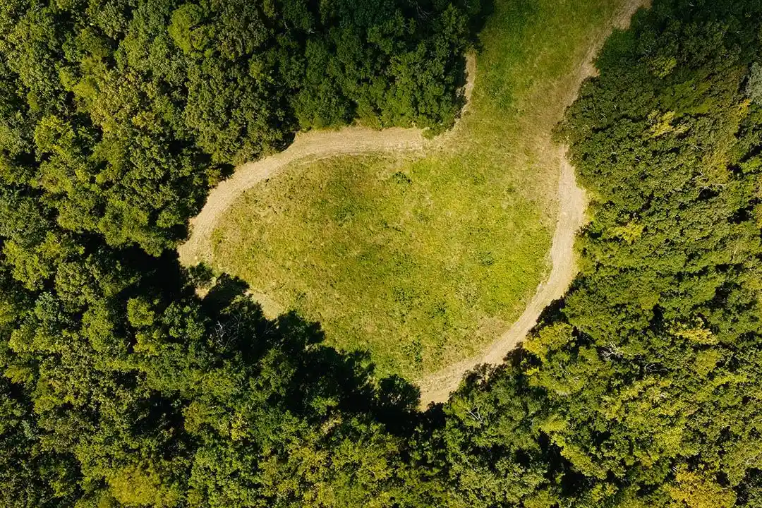Photo 2 of Land for sale at 0 Rocky Springs Rd, Saulsbury, TN 38067 | MLS# 10230396 | Listing updated on 2026-09-14