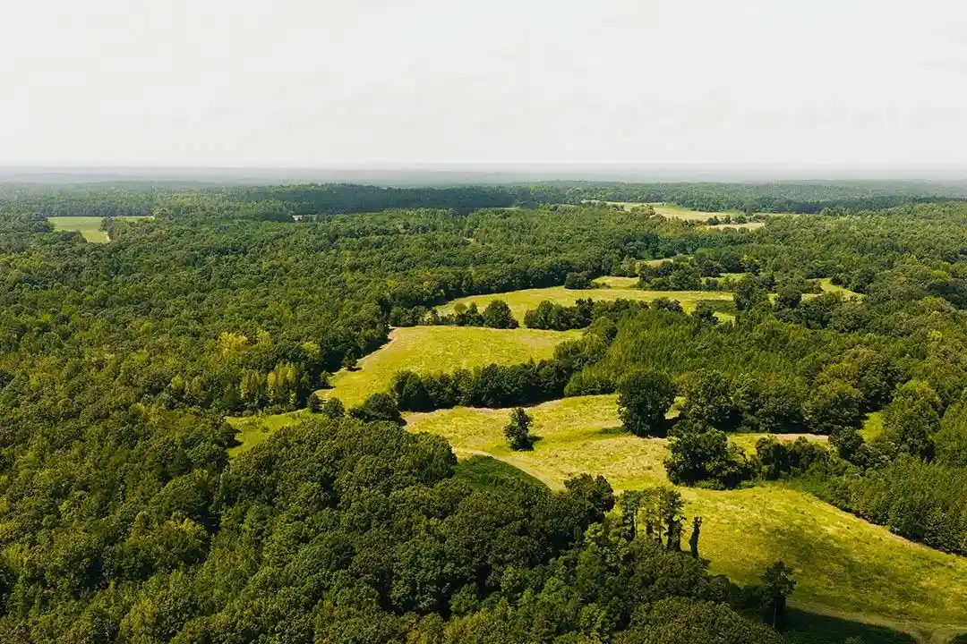 Photo 3 of Land for sale at 0 Rocky Springs Rd, Saulsbury, TN 38067 | MLS# 10230396 | Listing updated on 2026-09-14