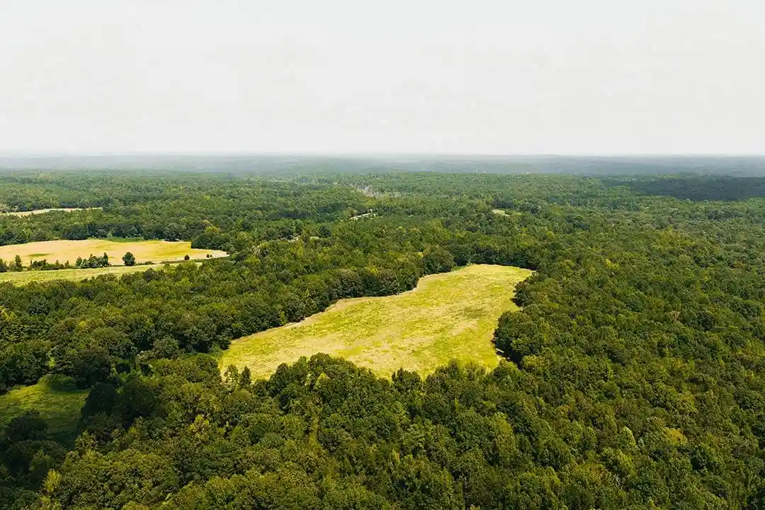 Photo 3 of Land for sale at 0 Rocky Springs Rd, Saulsbury, TN 38067 | MLS# 10230396 | Listing updated on 2026-09-14