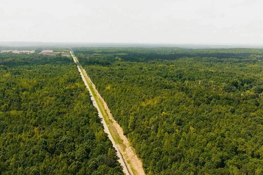 Photo 4 of Land for sale at 0 Rocky Springs Rd, Saulsbury, TN 38067 | MLS# 10230396 | Listing updated on 2026-09-14