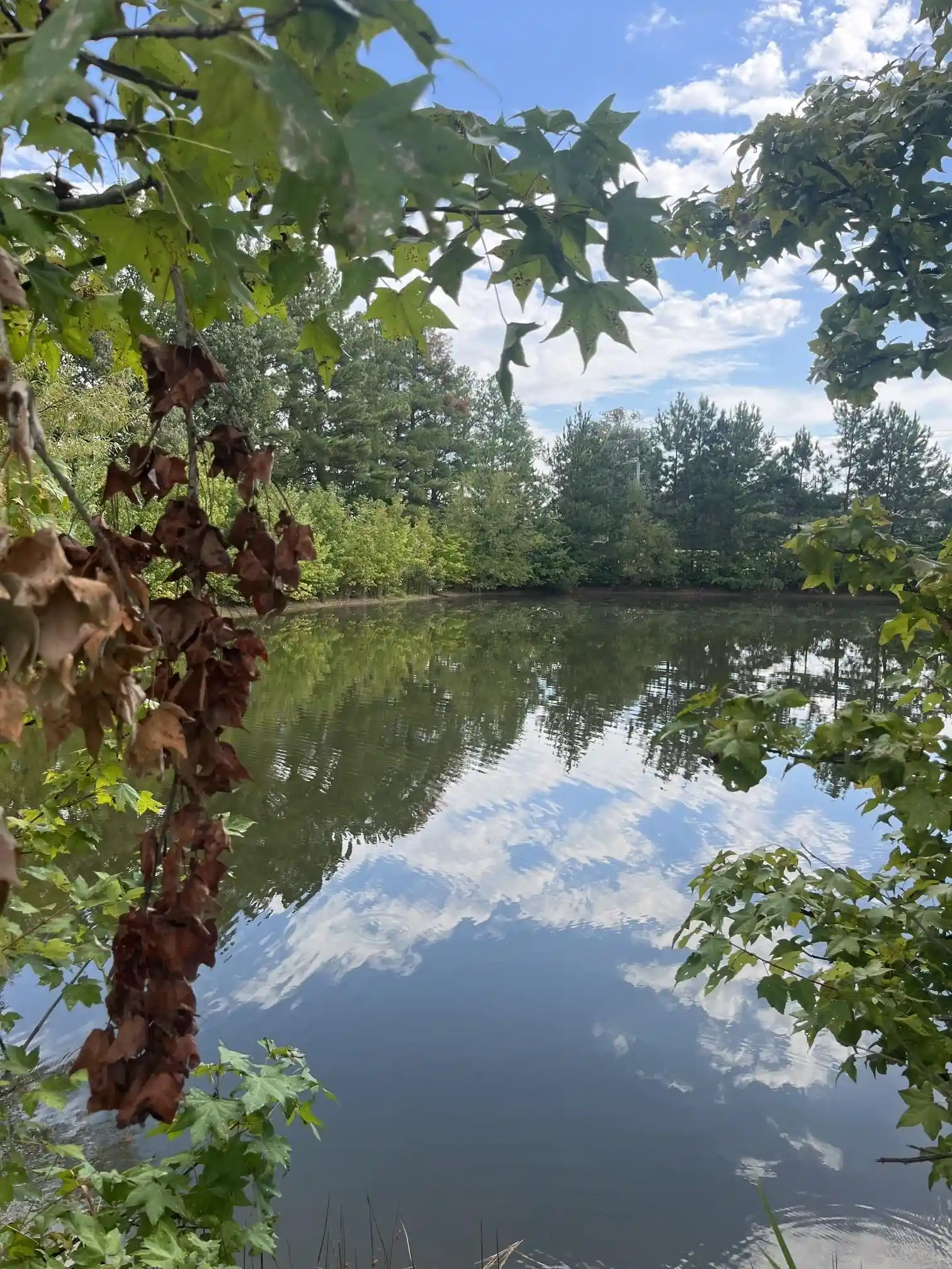 Photo 1 of Land for sale at 855 Sycamore Rd, Collierville, TN 38017 | MLS# 10230419 | Listing updated on 2026-09-14