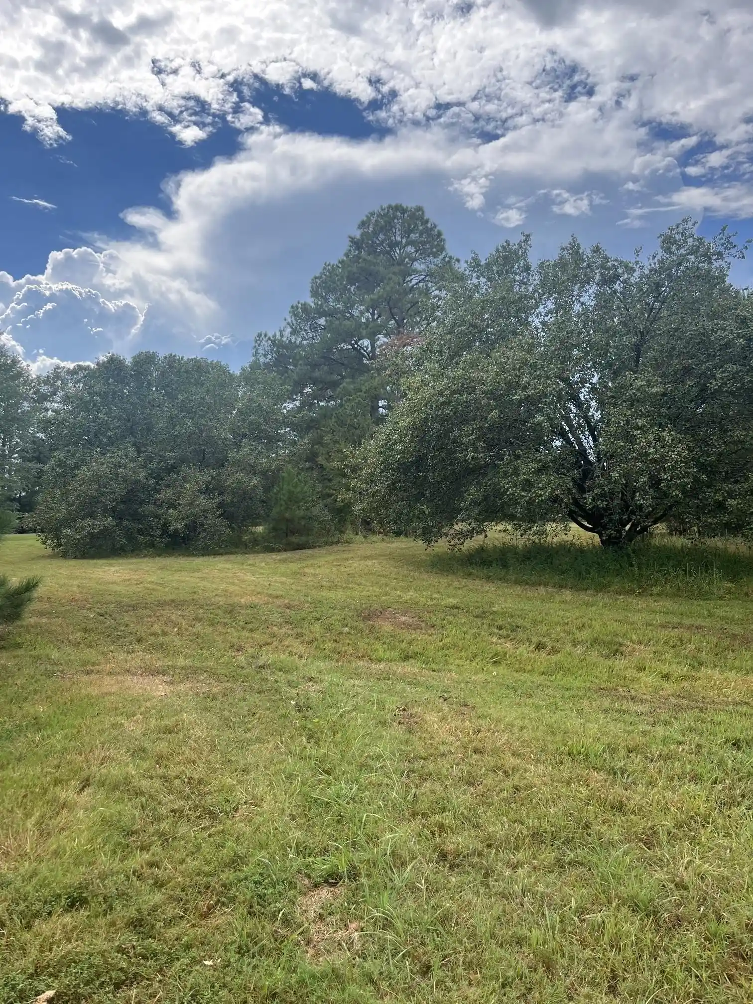 Photo 2 of Land for sale at 855 Sycamore Rd, Collierville, TN 38017 | MLS# 10230419 | Listing updated on 2026-09-14