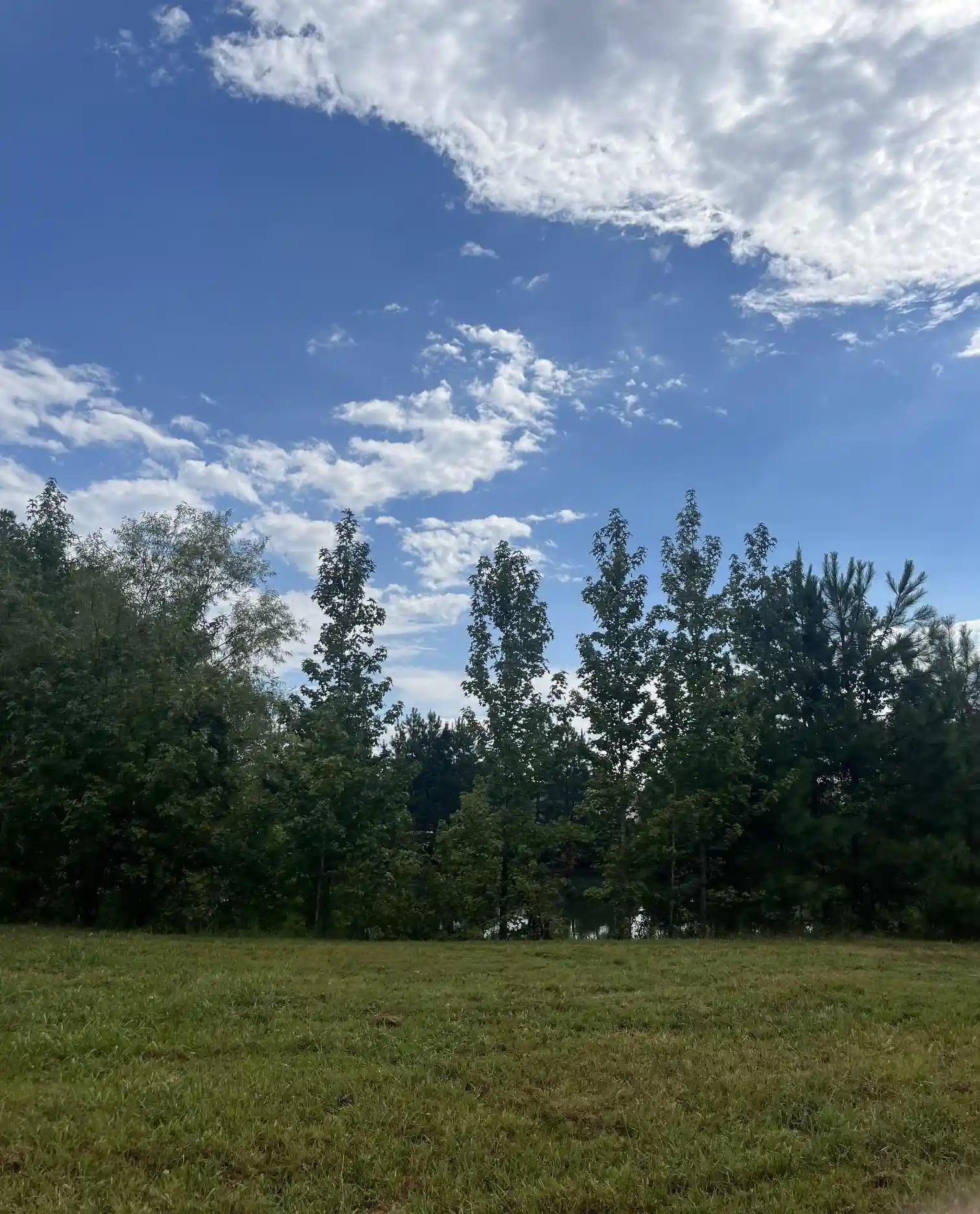 Photo 3 of Land for sale at 855 Sycamore Rd, Collierville, TN 38017 | MLS# 10230419 | Listing updated on 2026-09-14
