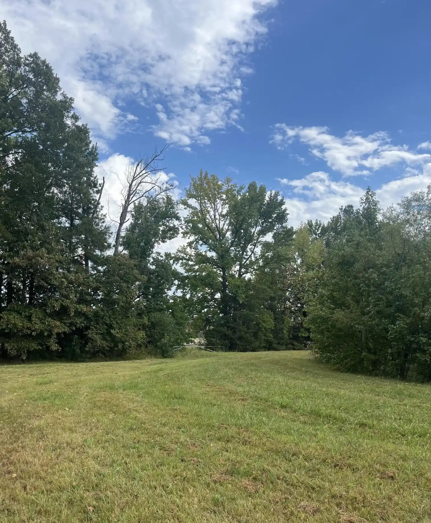 Photo 3 of Land for sale at 855 Sycamore Rd, Collierville, TN 38017 | MLS# 10230419 | Listing updated on 2026-09-14