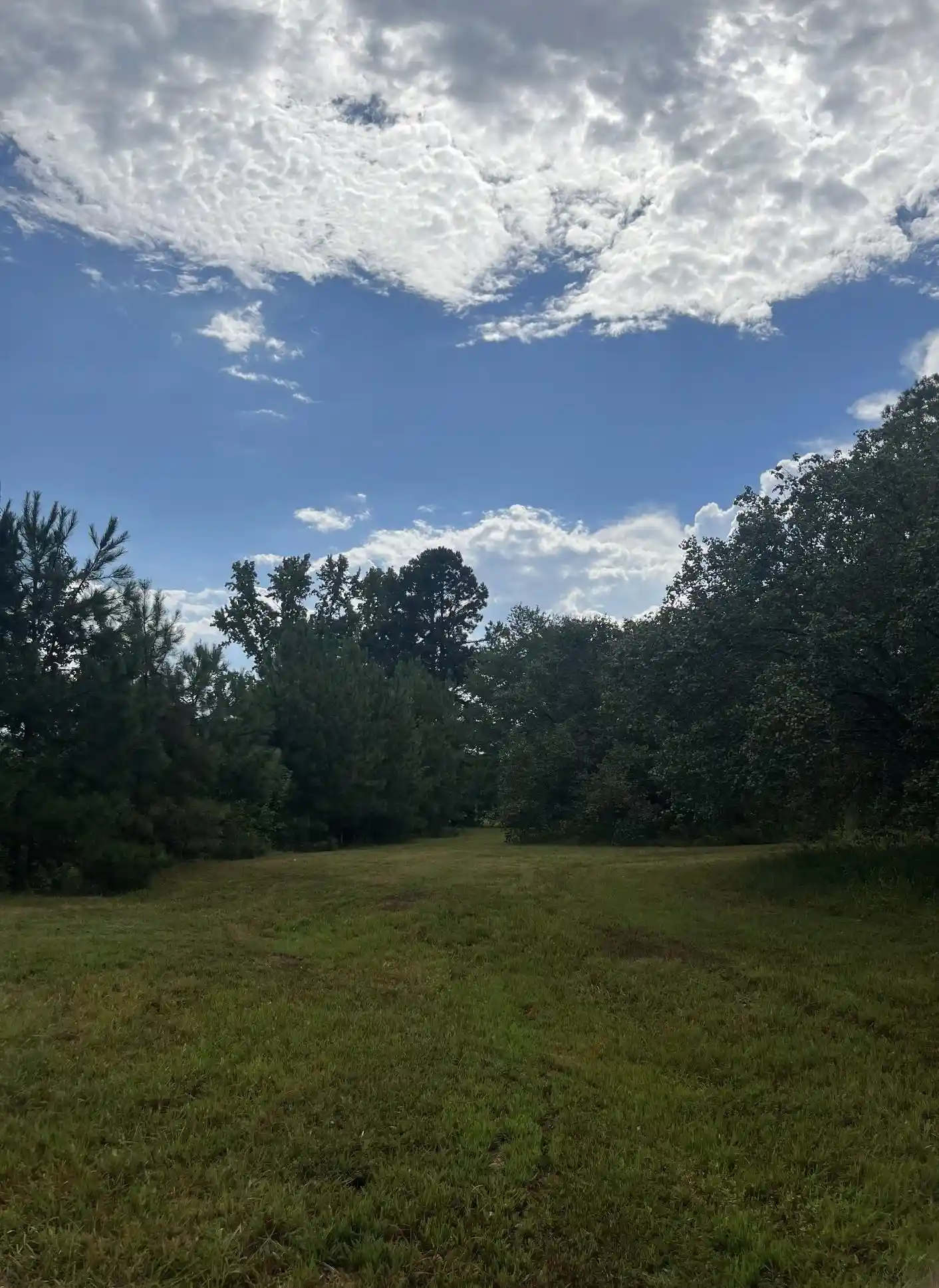 Photo 4 of Land for sale at 855 Sycamore Rd, Collierville, TN 38017 | MLS# 10230419 | Listing updated on 2026-09-14